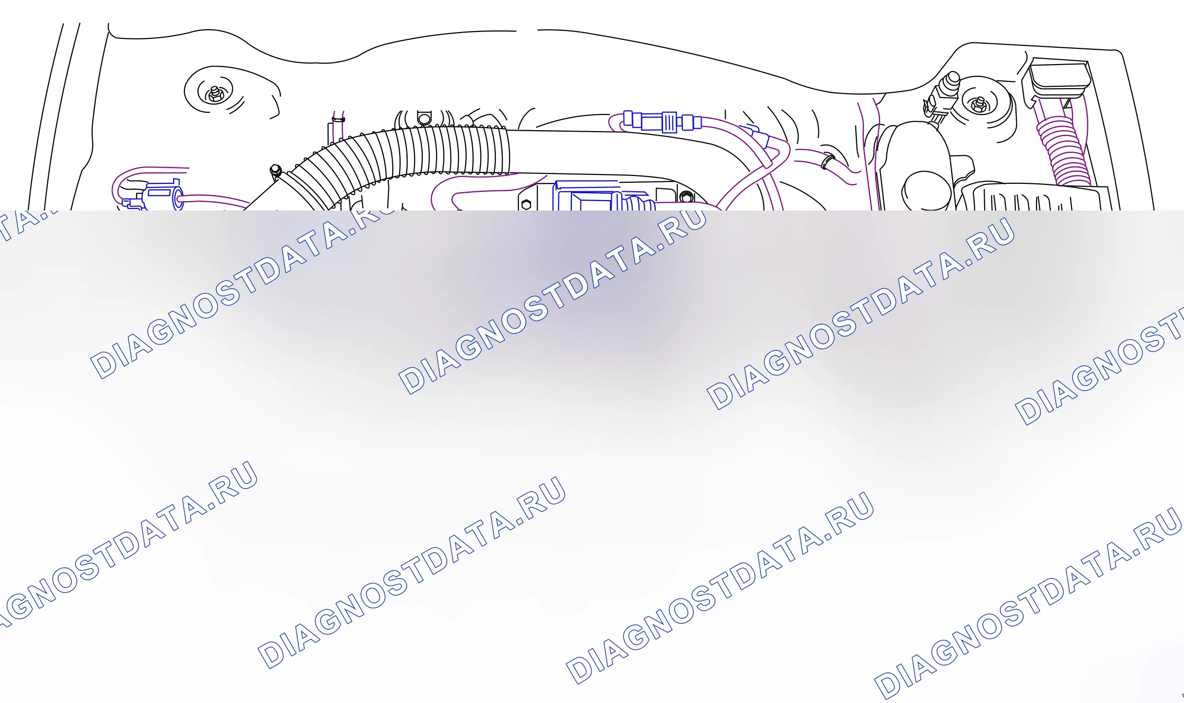 Component locations — Component locations: Power train - Engine, overview  Engine Z17DTH (P8944) — Component locations: Power train - Engine, overview  Engine Z17DTH (P8944). Opel Combo C (2002-2011)