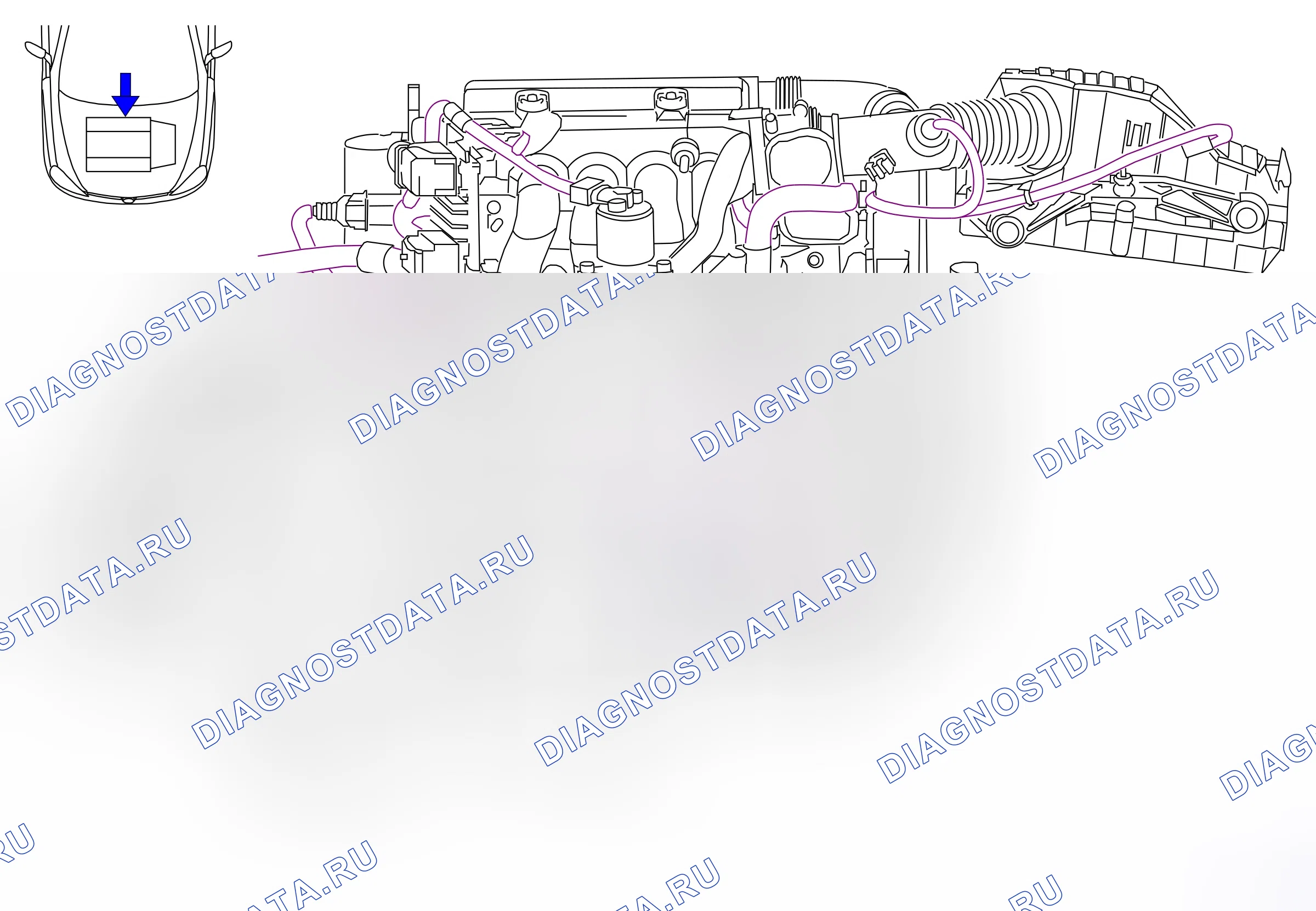 Ground points — Ground points: Engine  Engine Z16SE (P5616) — Ground points: Engine  Engine Z16SE (P5616). Opel Combo C (2002-2011)