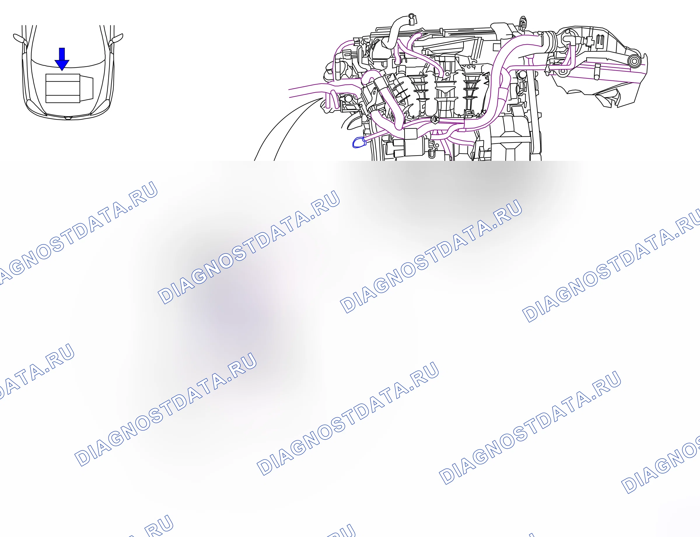 Ground points — Ground points: Engine  Z10XE/Z12XE engines   - 2 (P6019) — Ground points: Engine  Z10XE/Z12XE engines   - 2 (P6019). Opel Combo C (2002-2011)