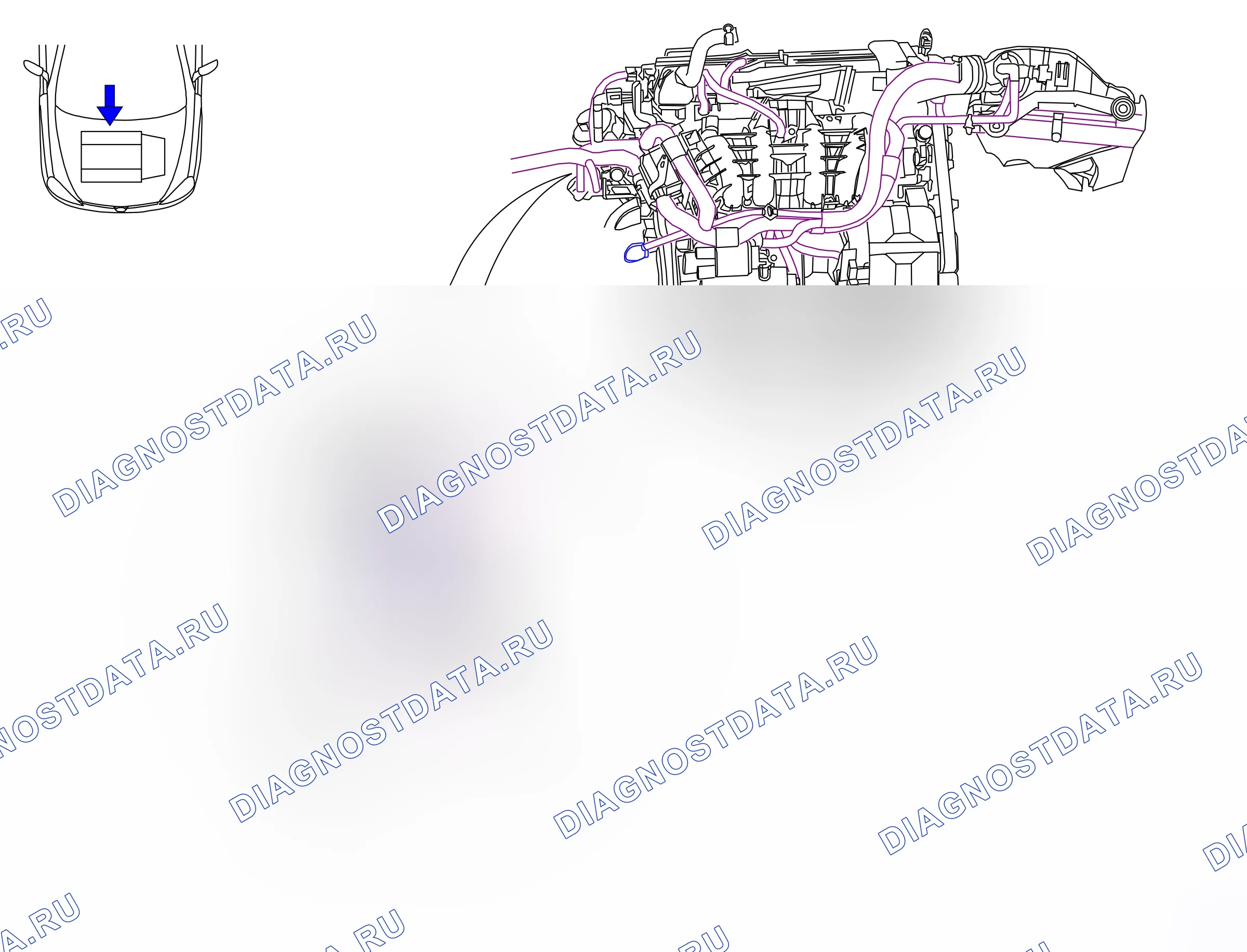 Ground points — Ground points: Engine  Engine Z12XE   - 1 (P8541) — Ground points: Engine  Engine Z12XE   - 1 (P8541). Opel Corsa C (2001-2011)