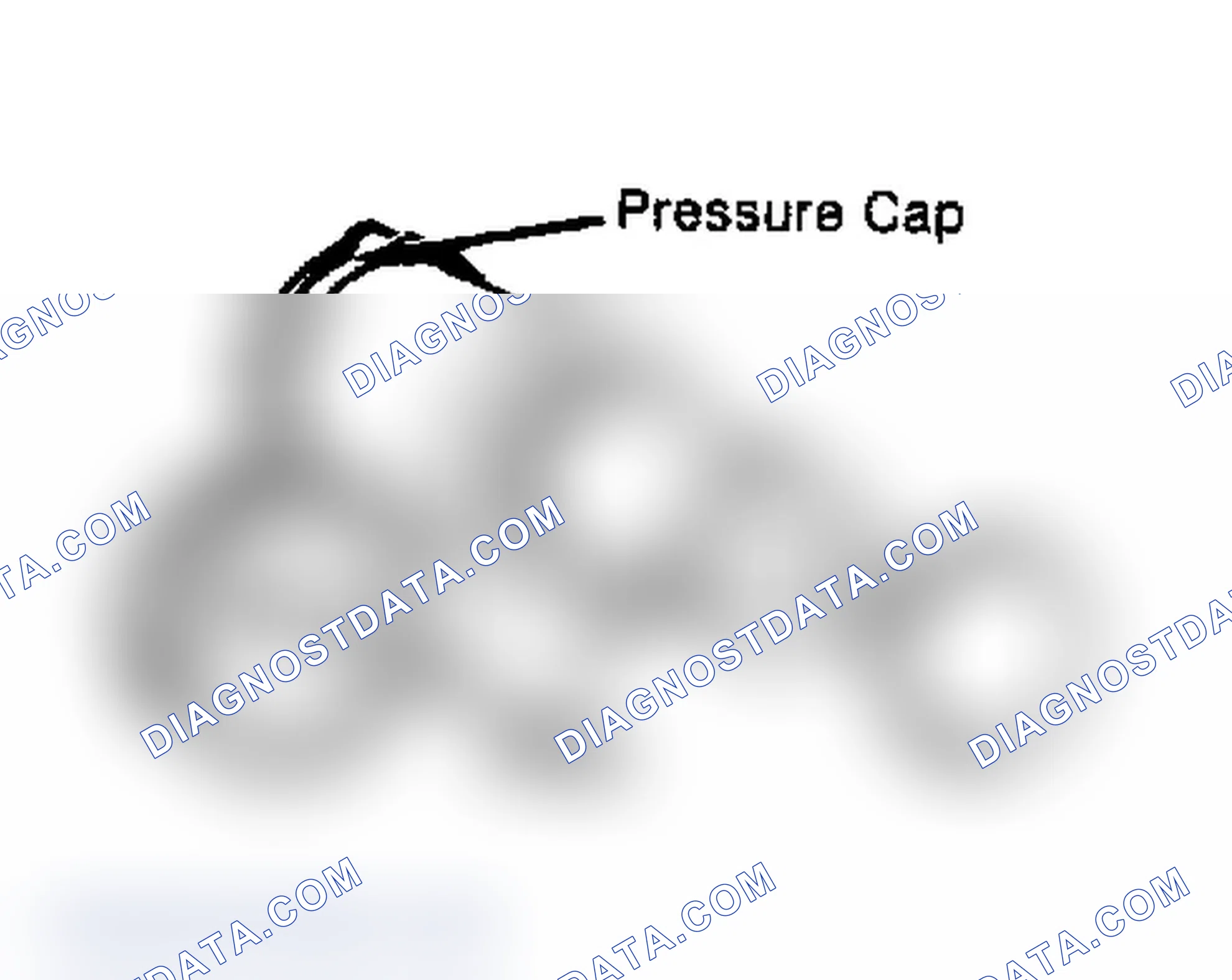 Scheme 2: Testing Radiator Pressure Cap Wet cap gasket before testing.