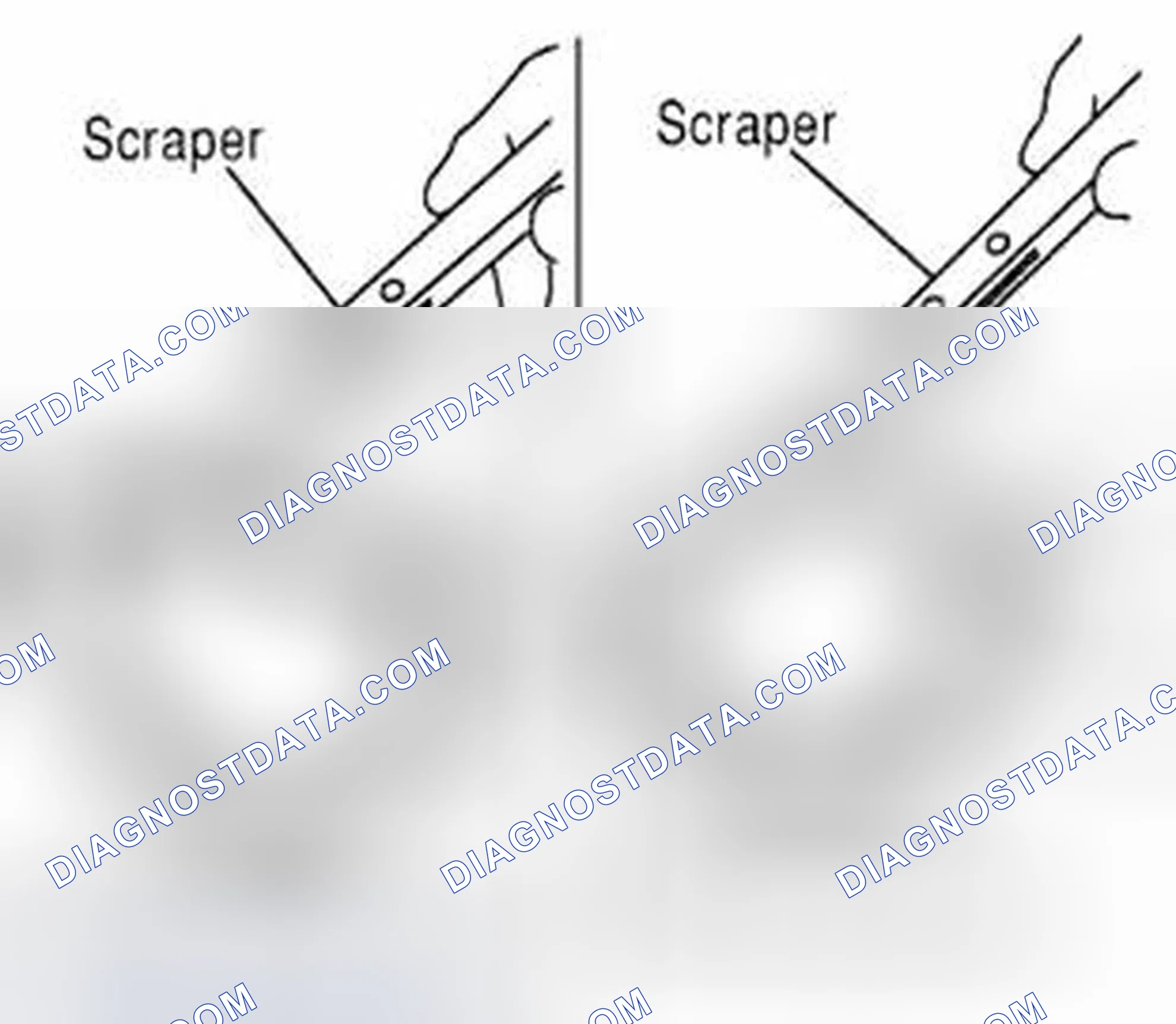 Scheme 56