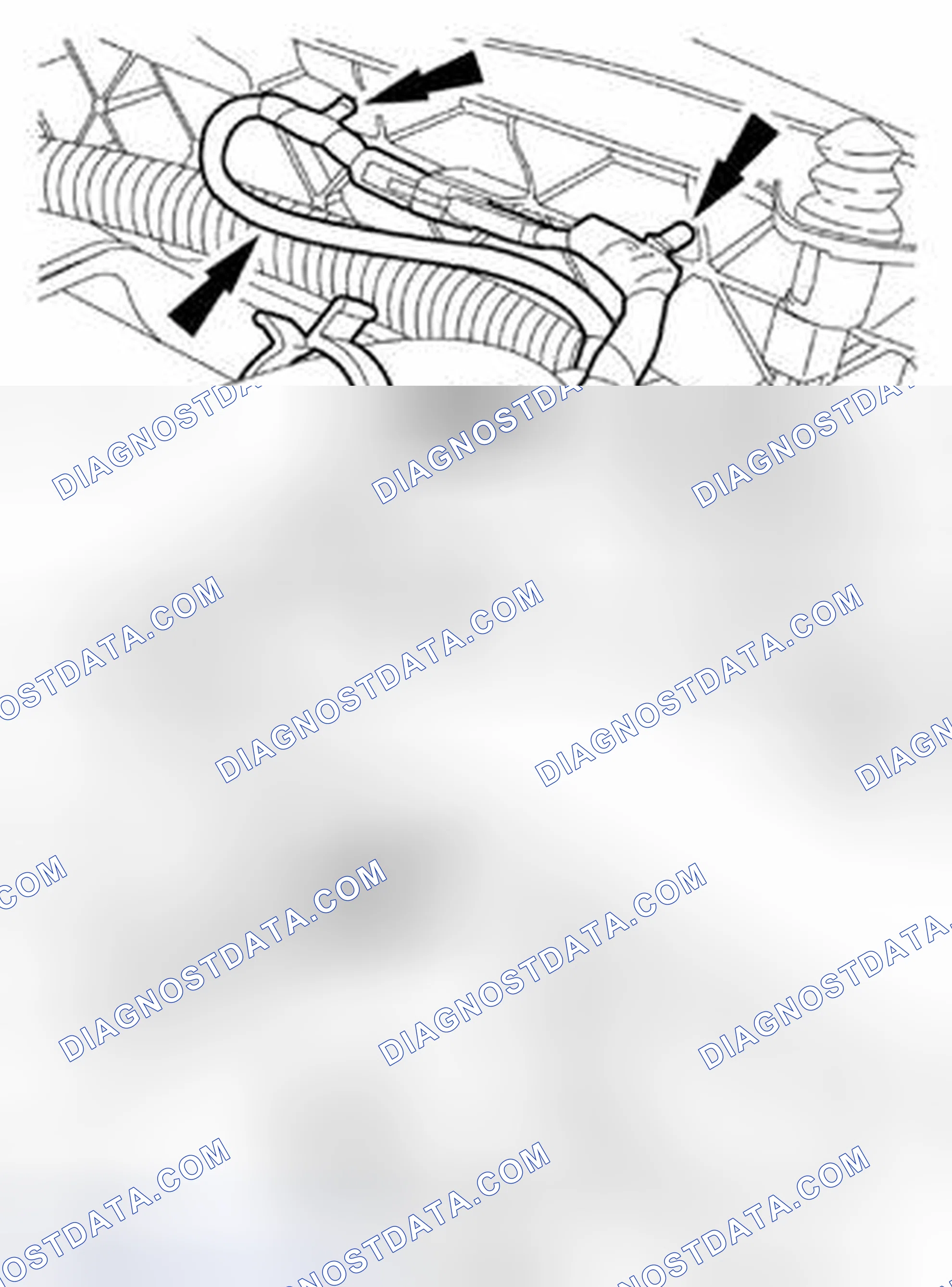 Scheme 889