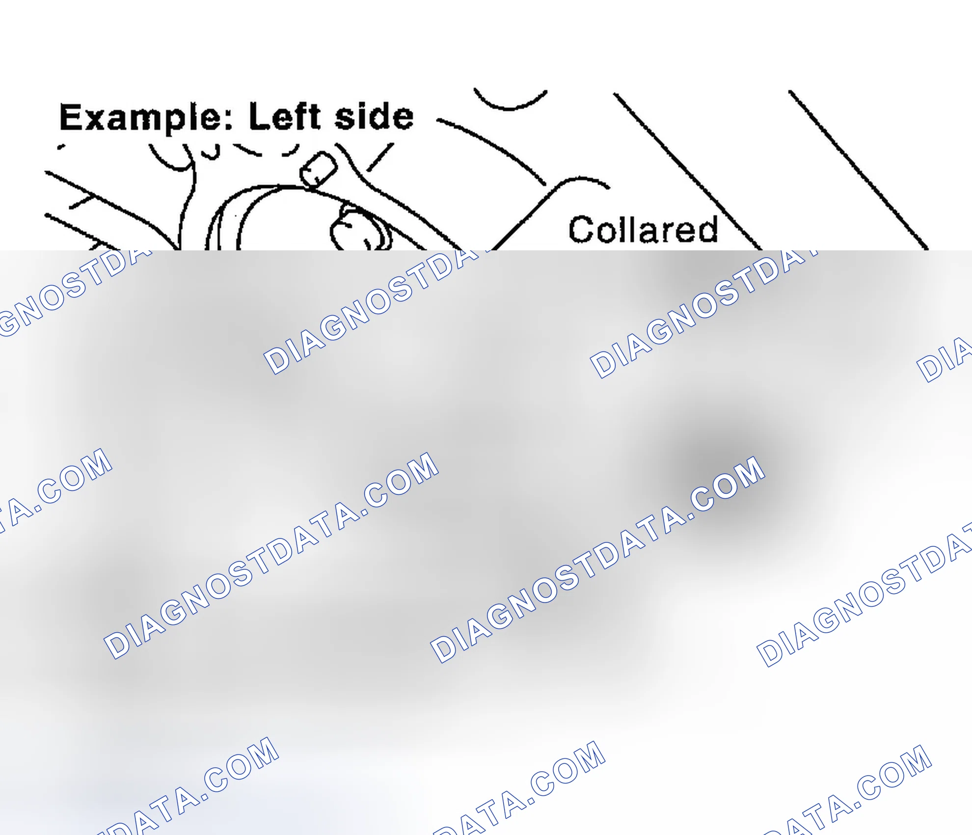 Scheme 271