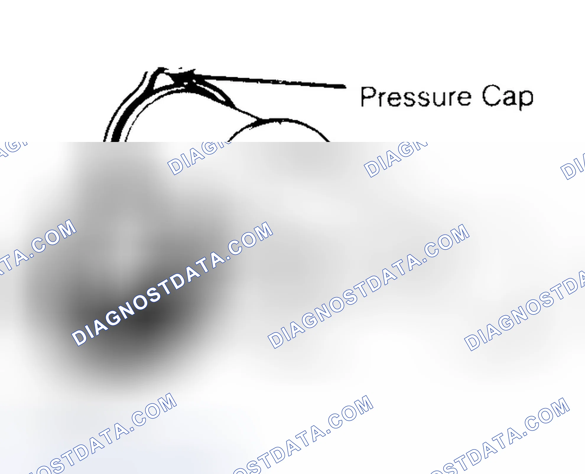 Scheme 2: Pressure Testing Radiator Cap