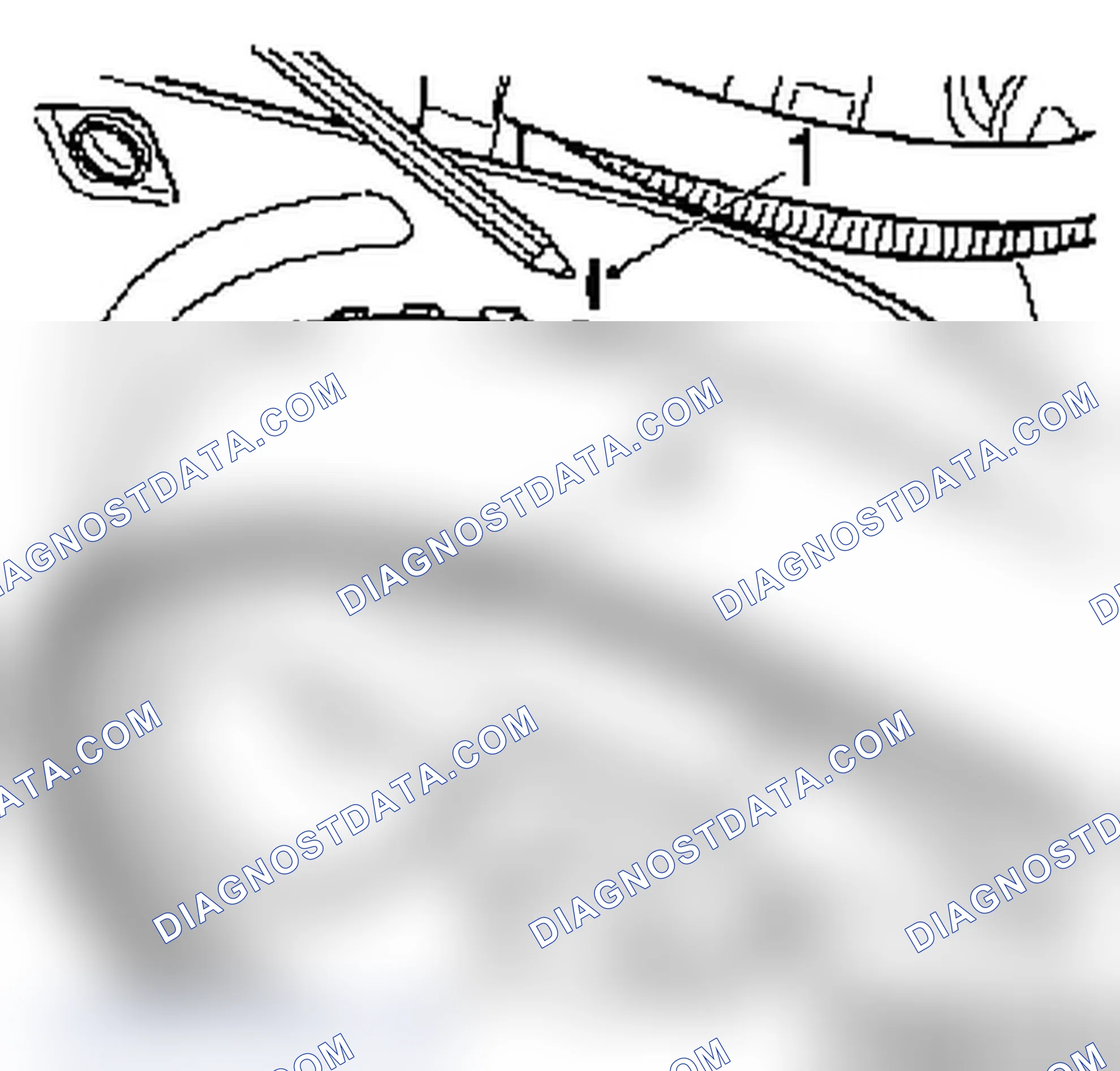 How to Replace the Timing Belt