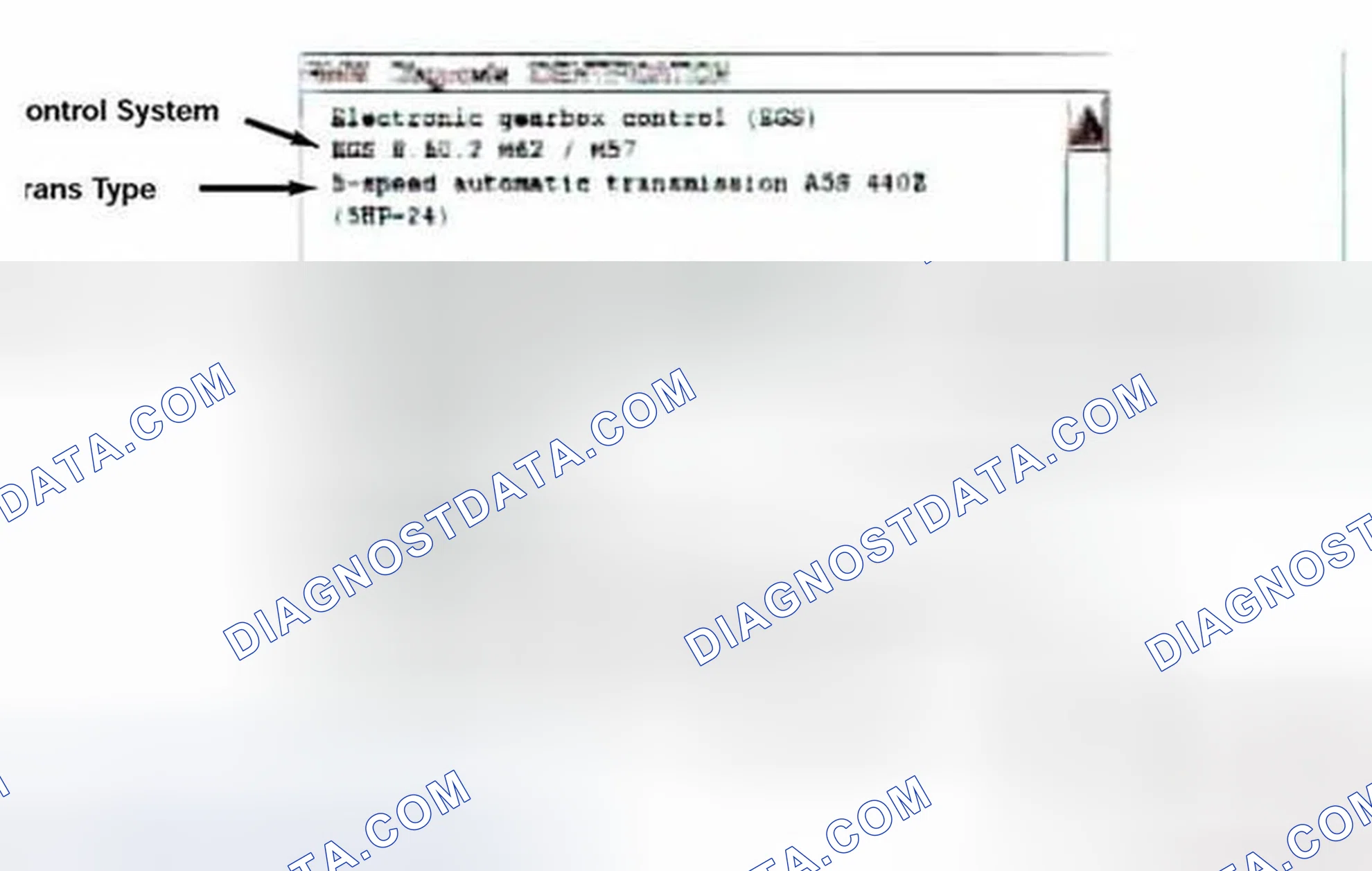 Scheme 277: Identification Page