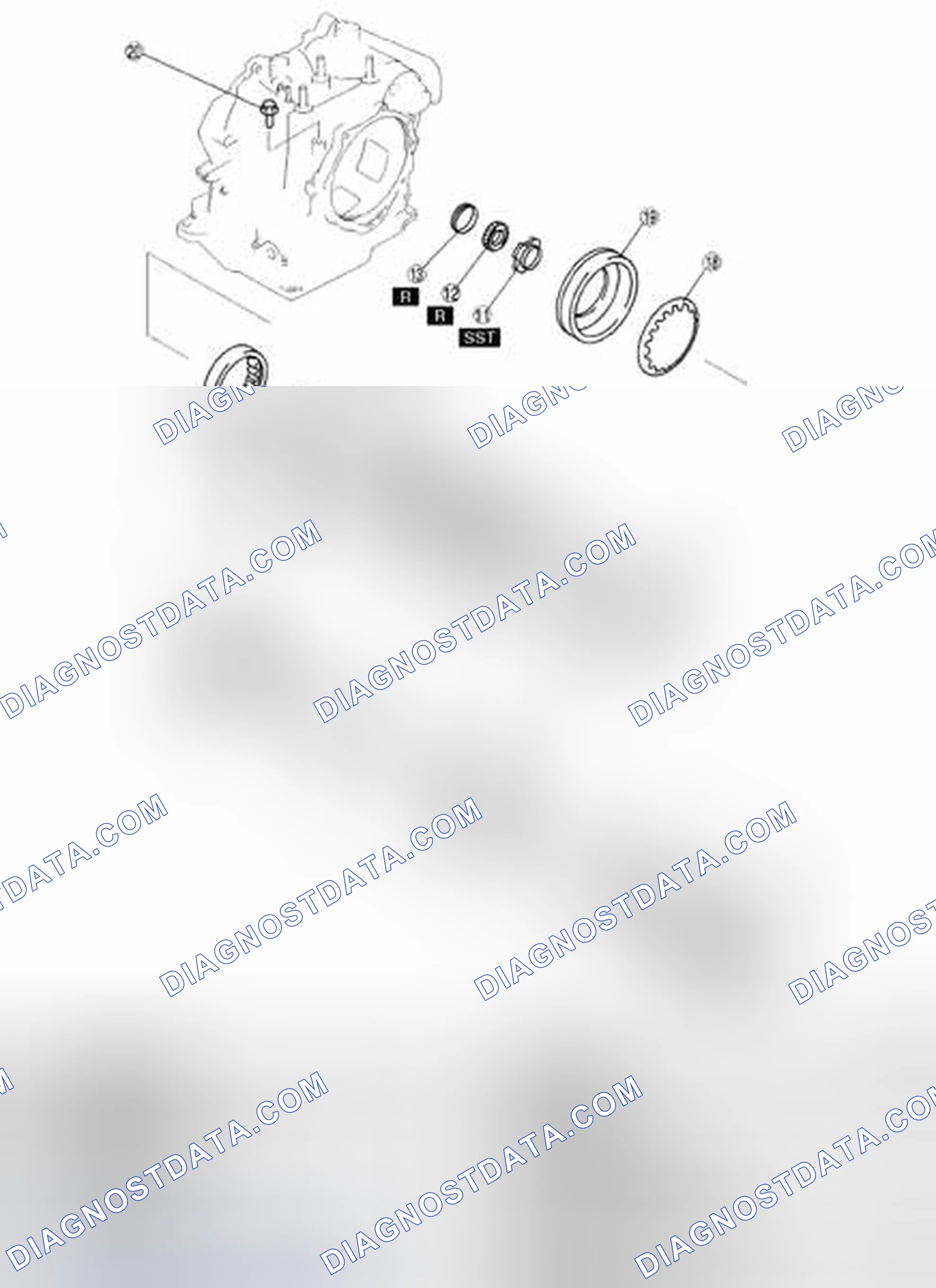 Scheme 919