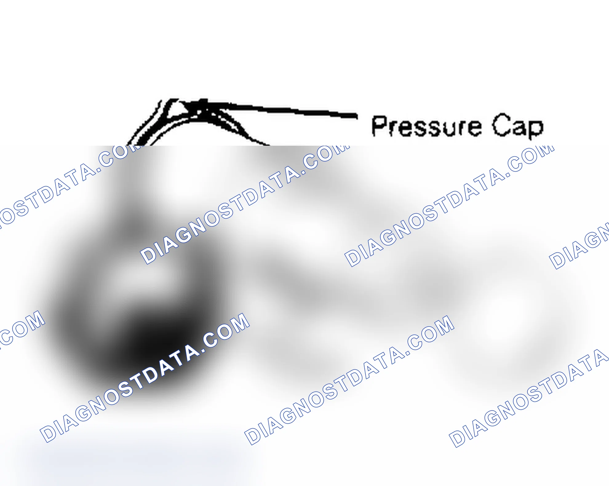Scheme 2: RADIATOR CAP