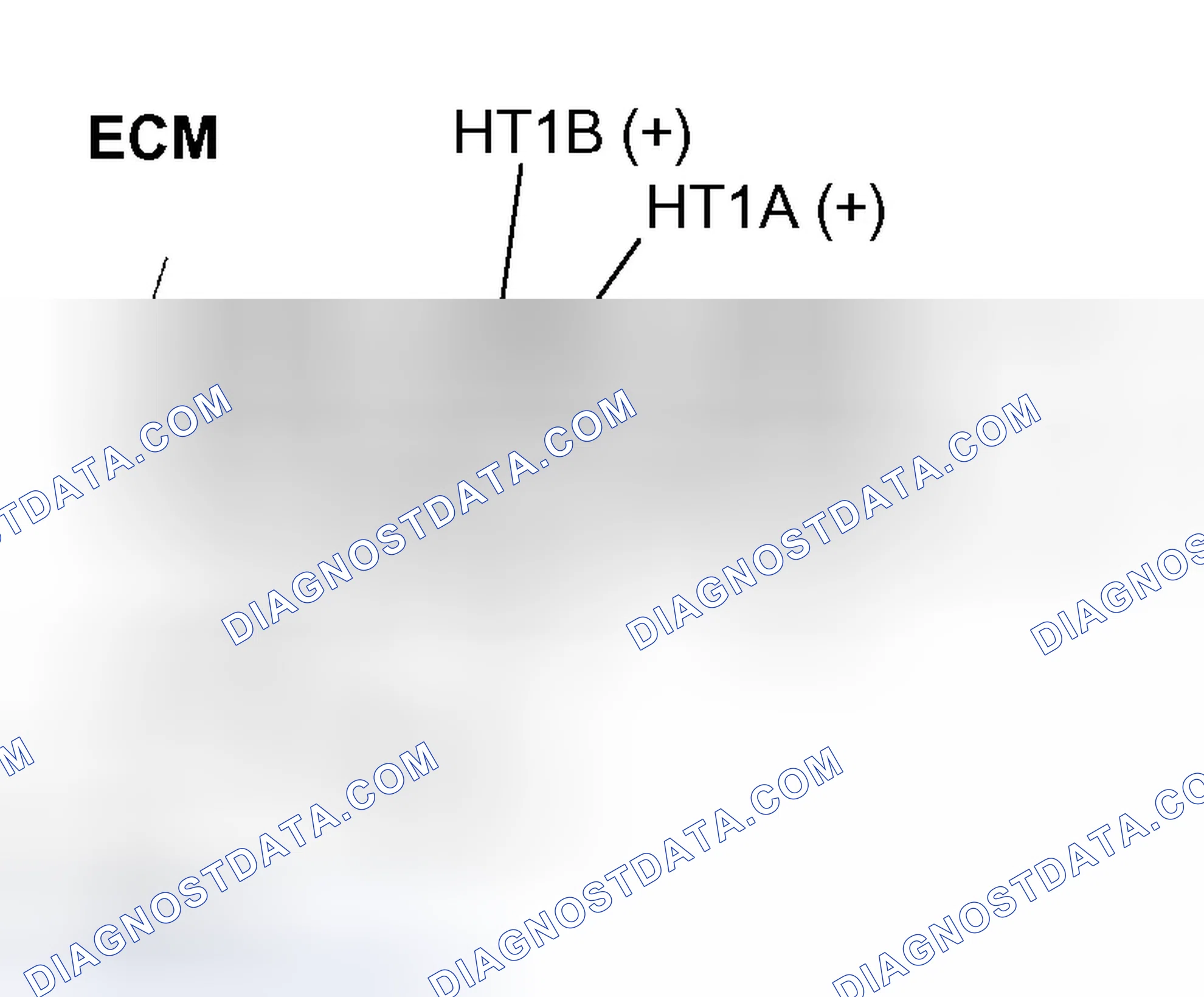 Scheme 337