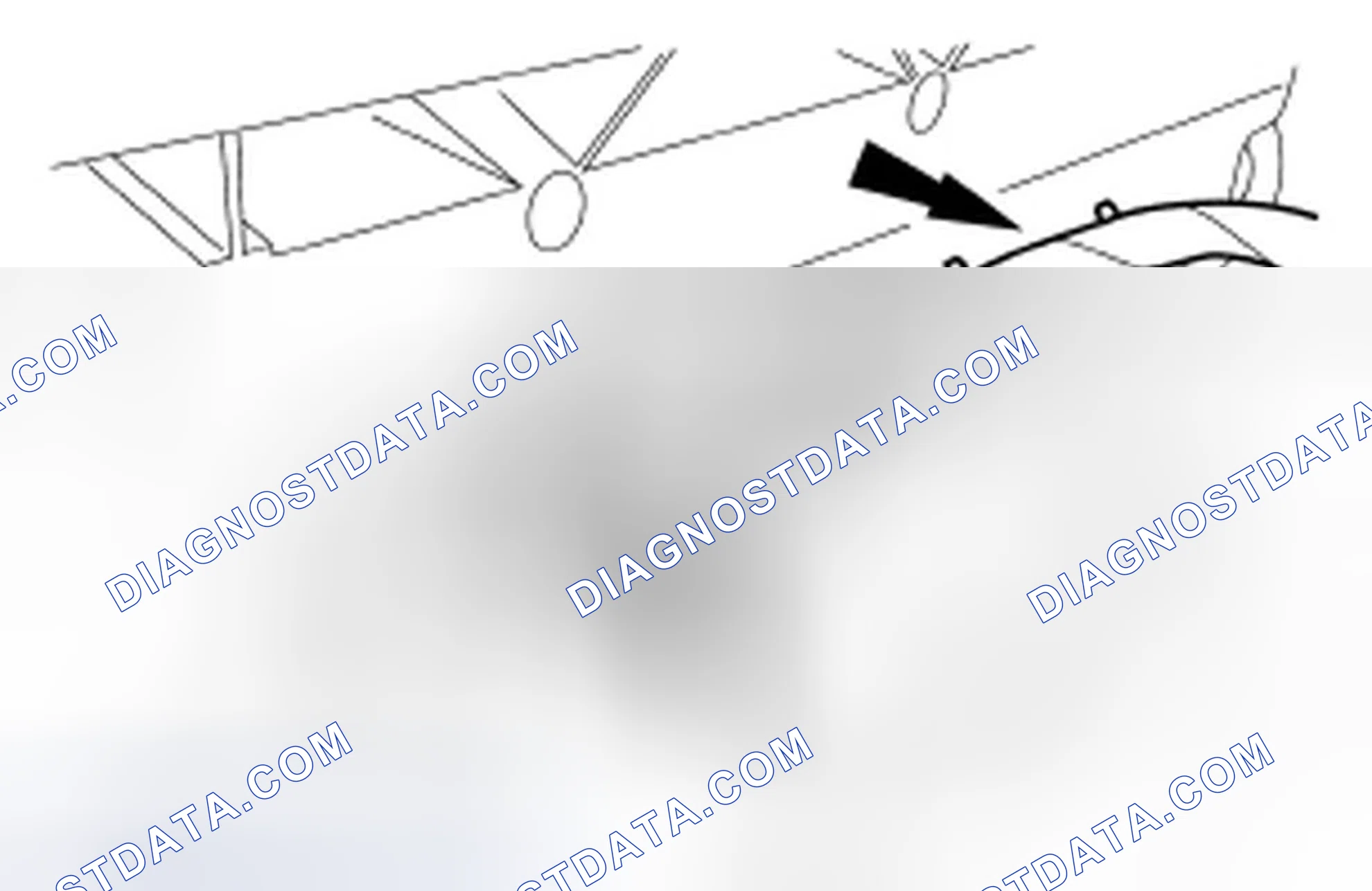 Scheme 323