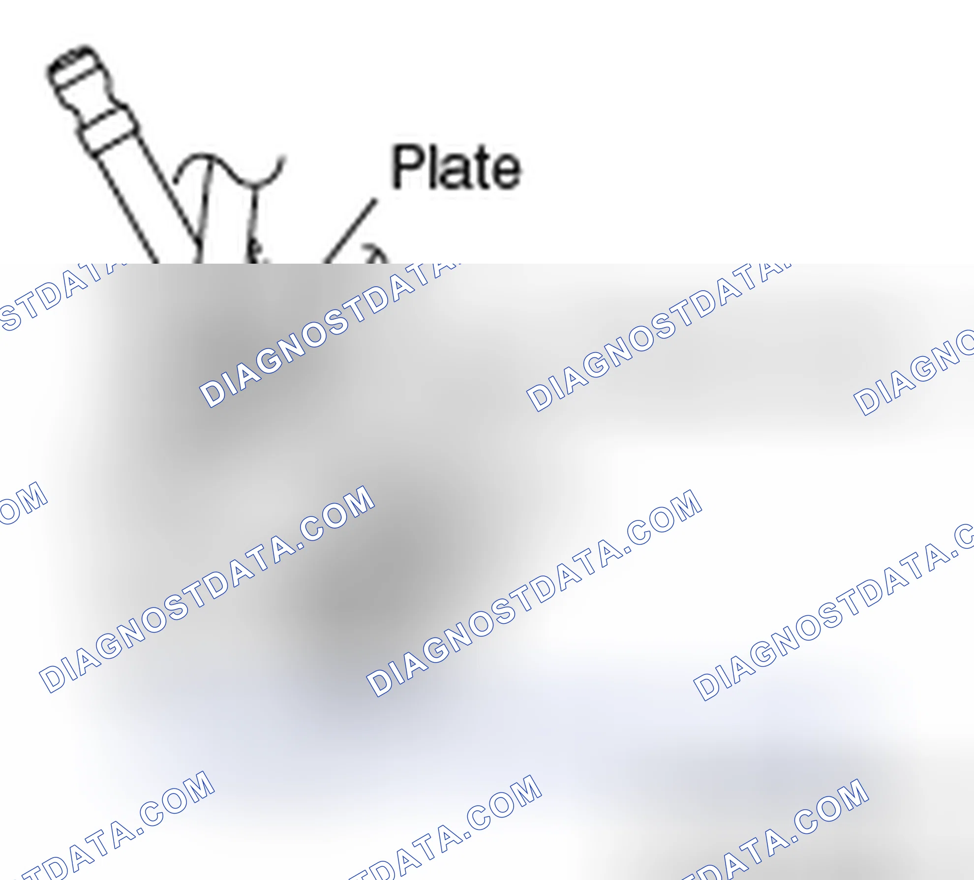 Scheme 33: >> C << PRESSURE HOSE INSTALLATION