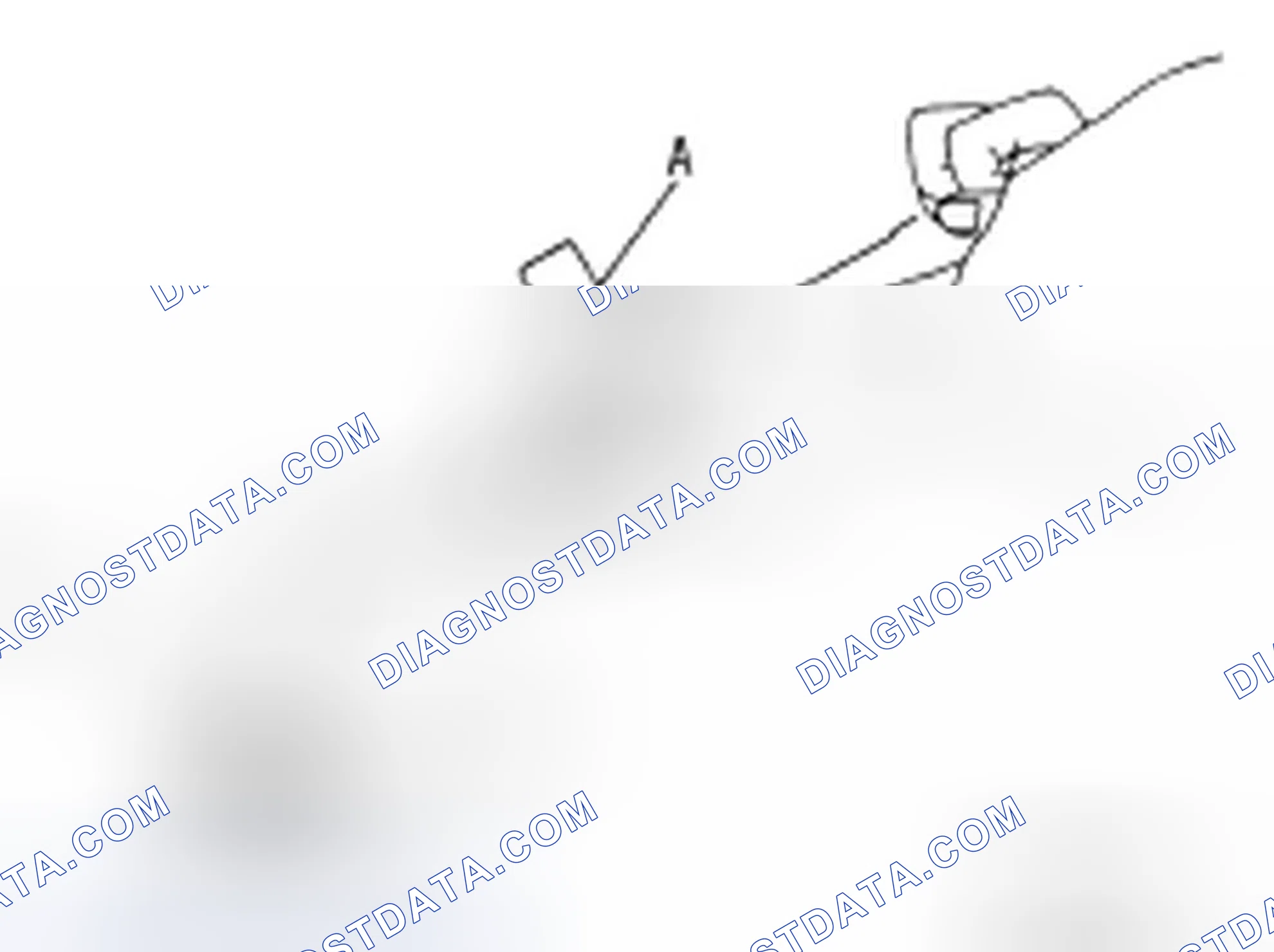 Scheme 2: LEAKAGE