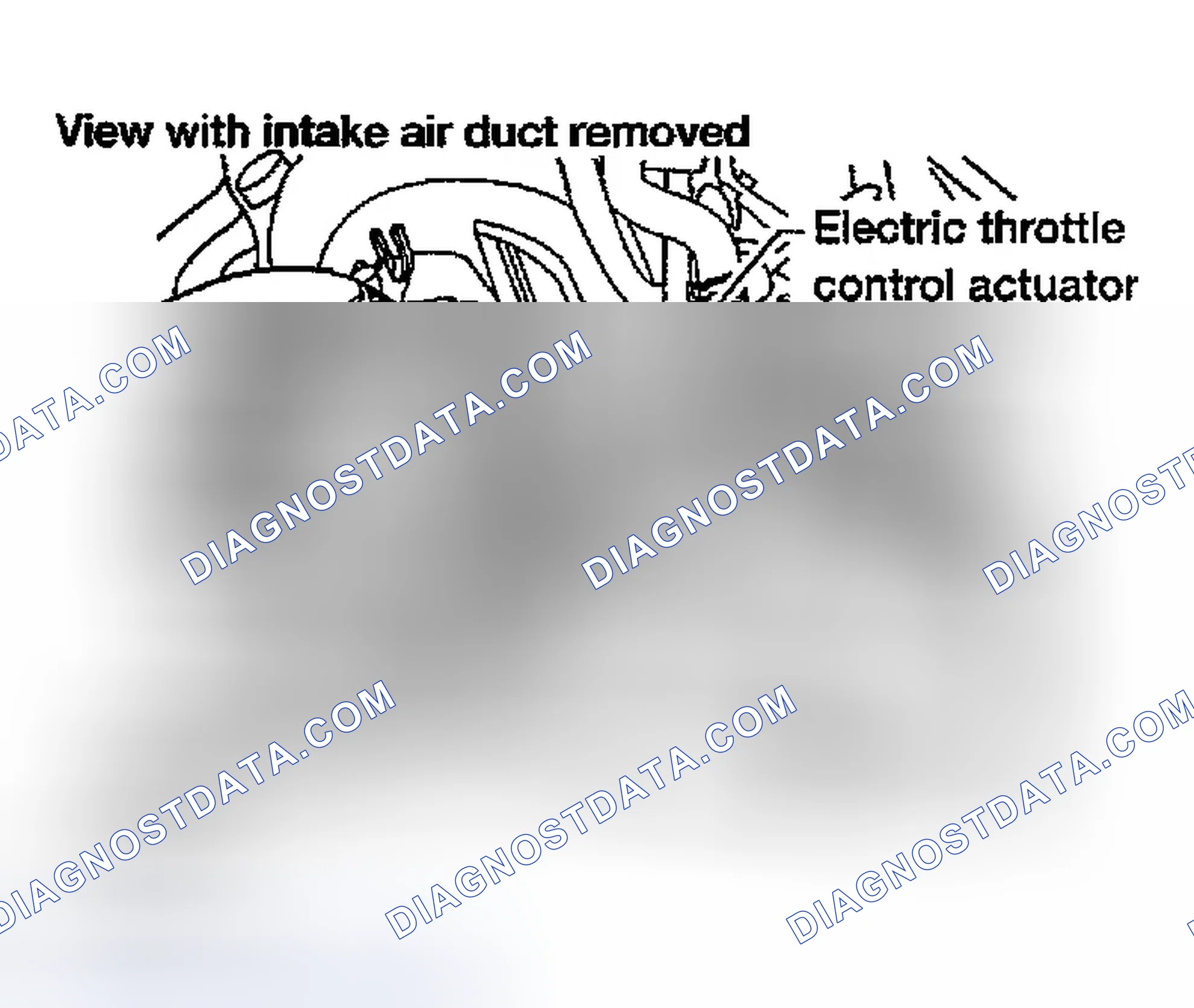 Scheme 772: Diagnostic Procedure