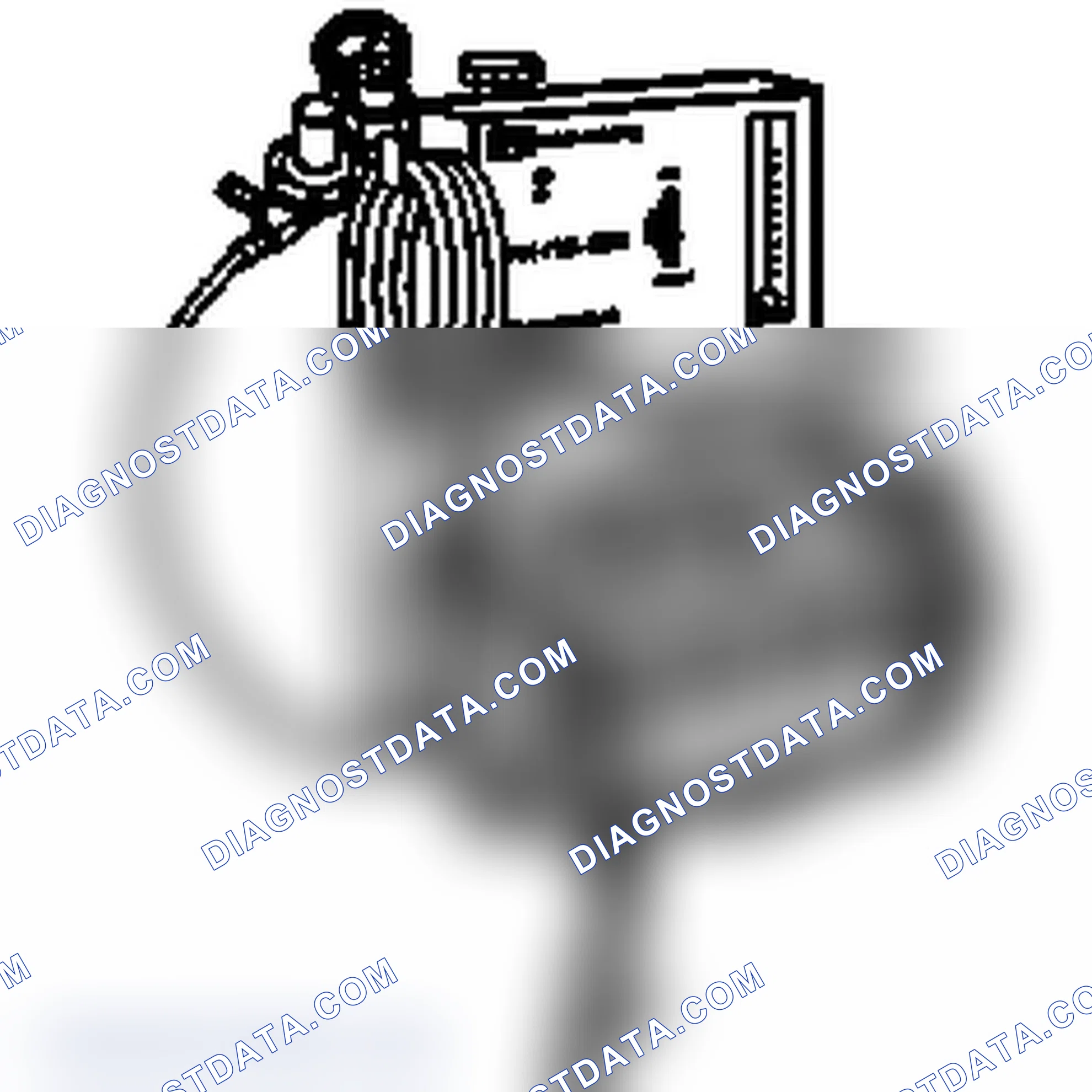 Scheme 123