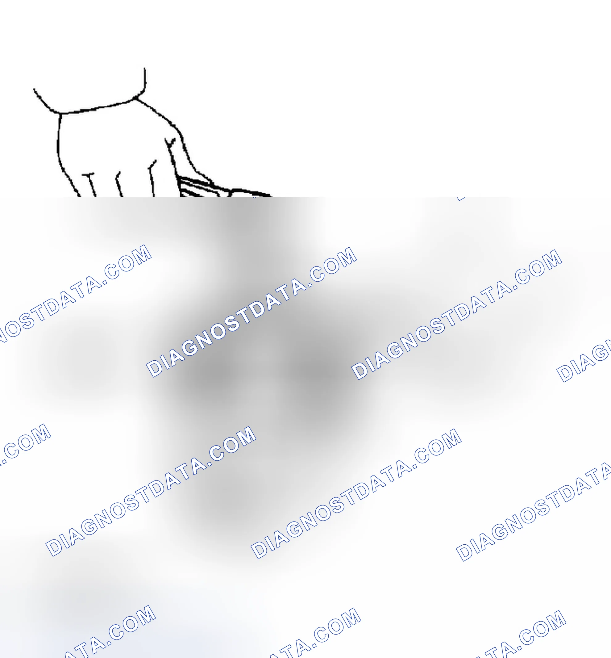 Scheme 179: DISASSEMBLY