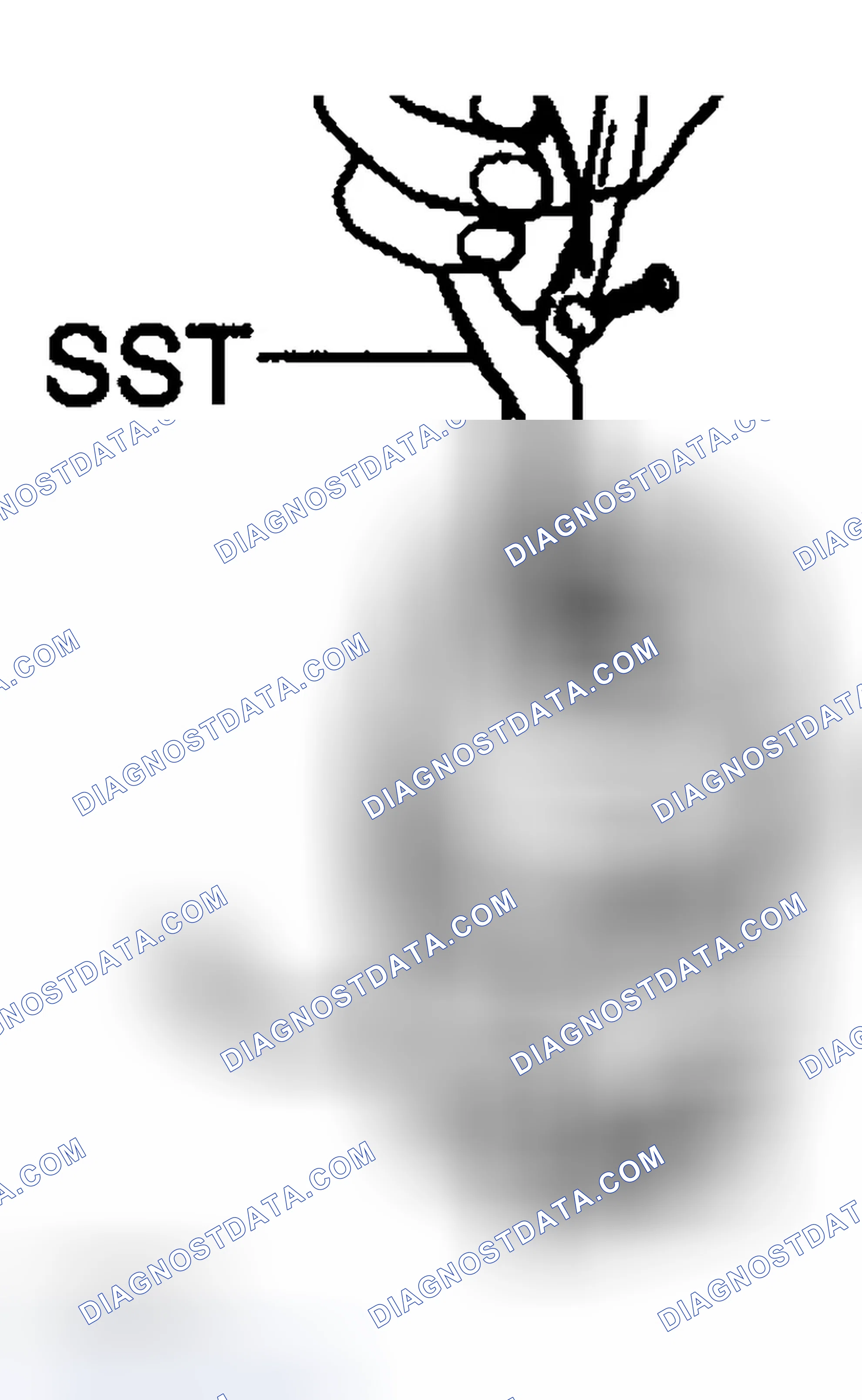 Scheme 223
