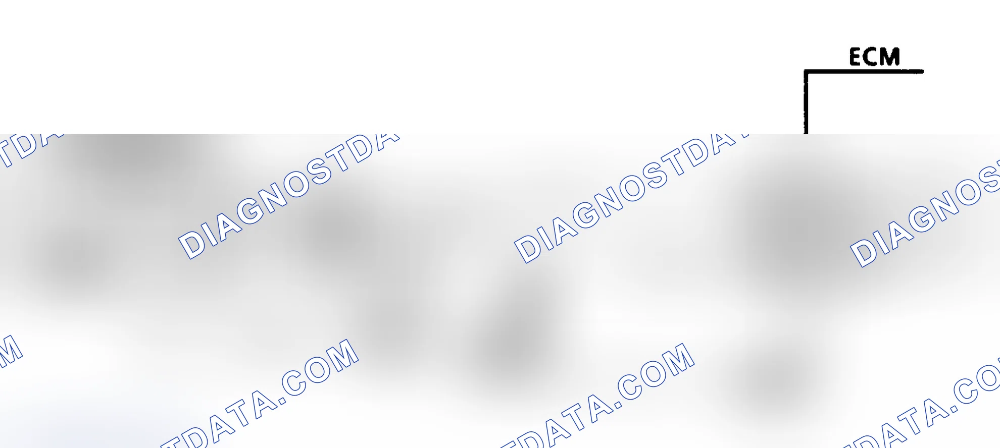 Scheme 26: Code 13 Schematic (4.3L Turbo) Open Oxygen Sensor Circuit