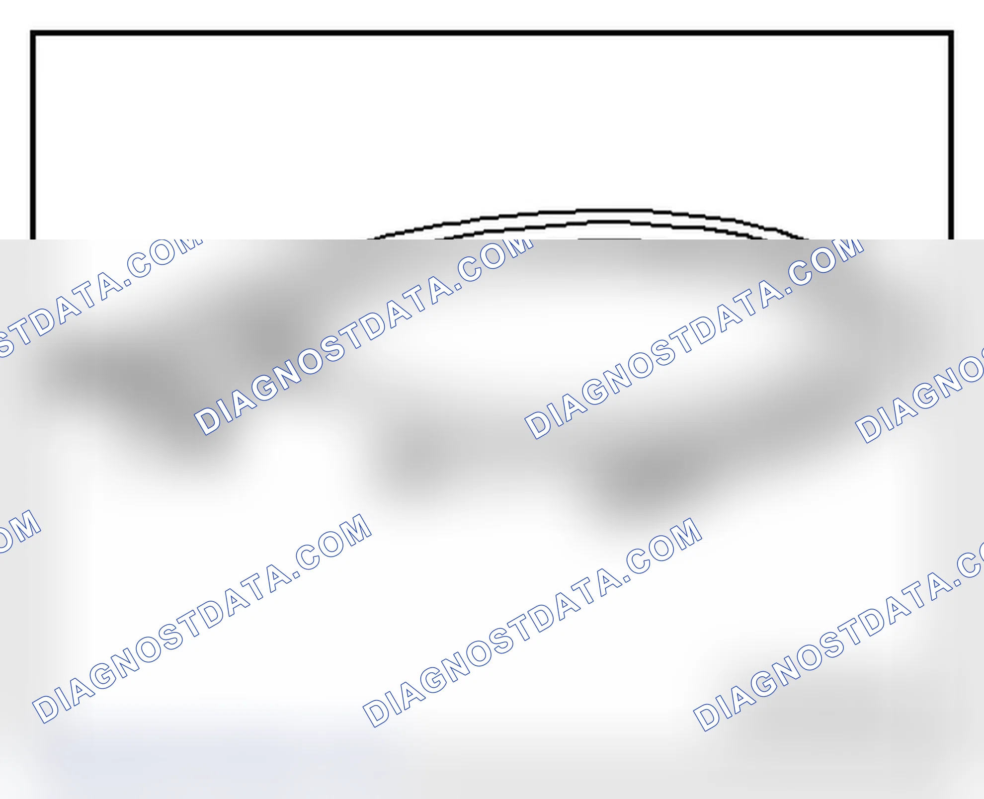 Scheme 335