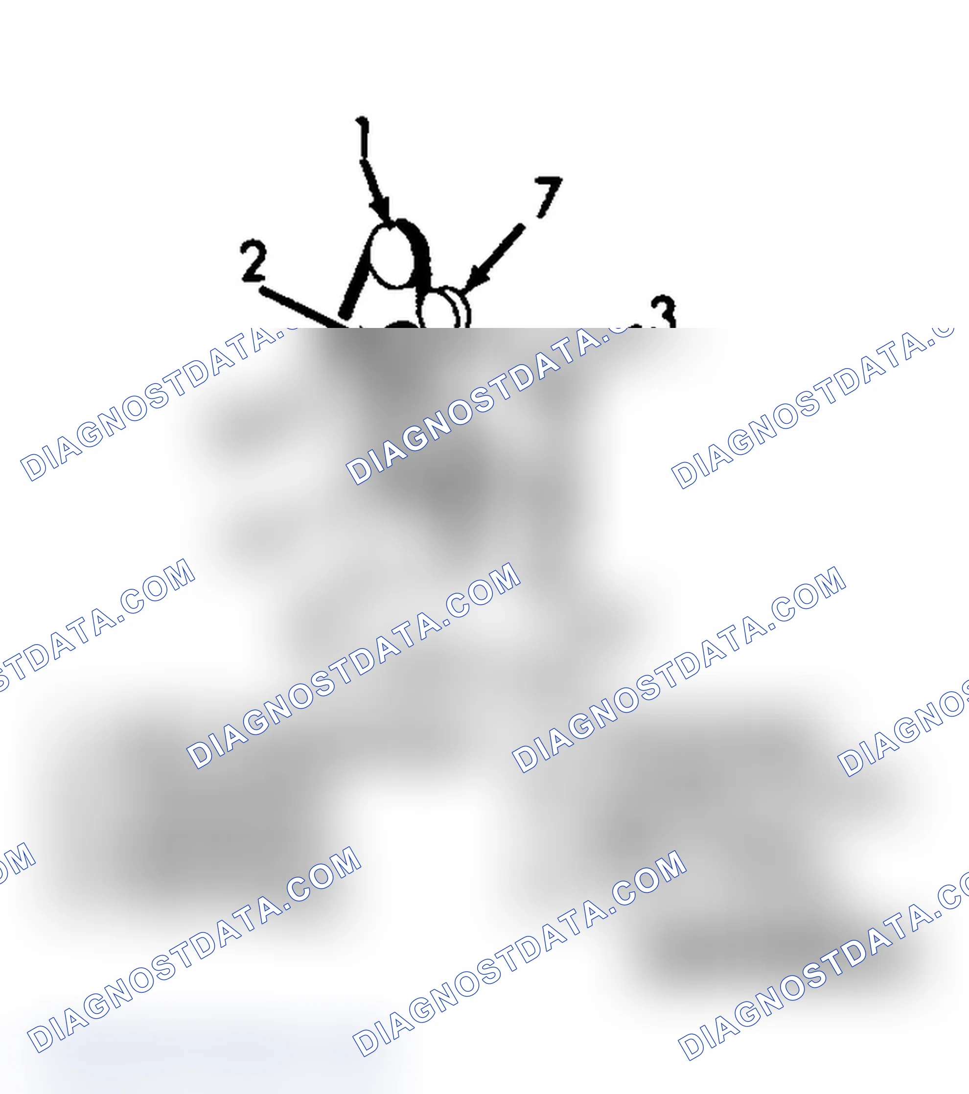 Scheme 5: SERPENTINE BELT ROUTING (7.4L, "C" 15)