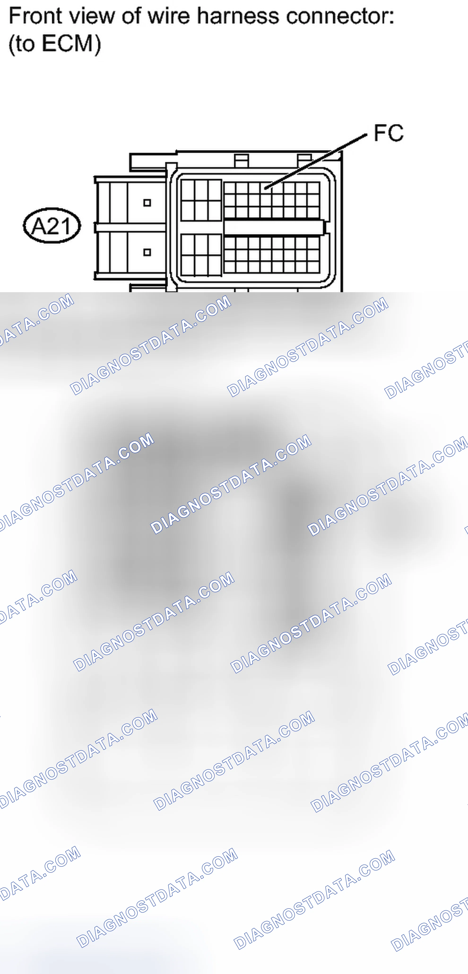 Scheme 331