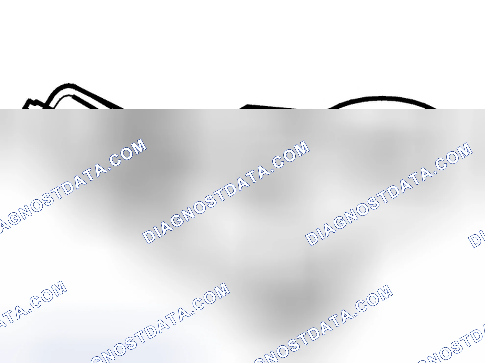 Scheme 35: Diagnostic trouble code (DTC) information