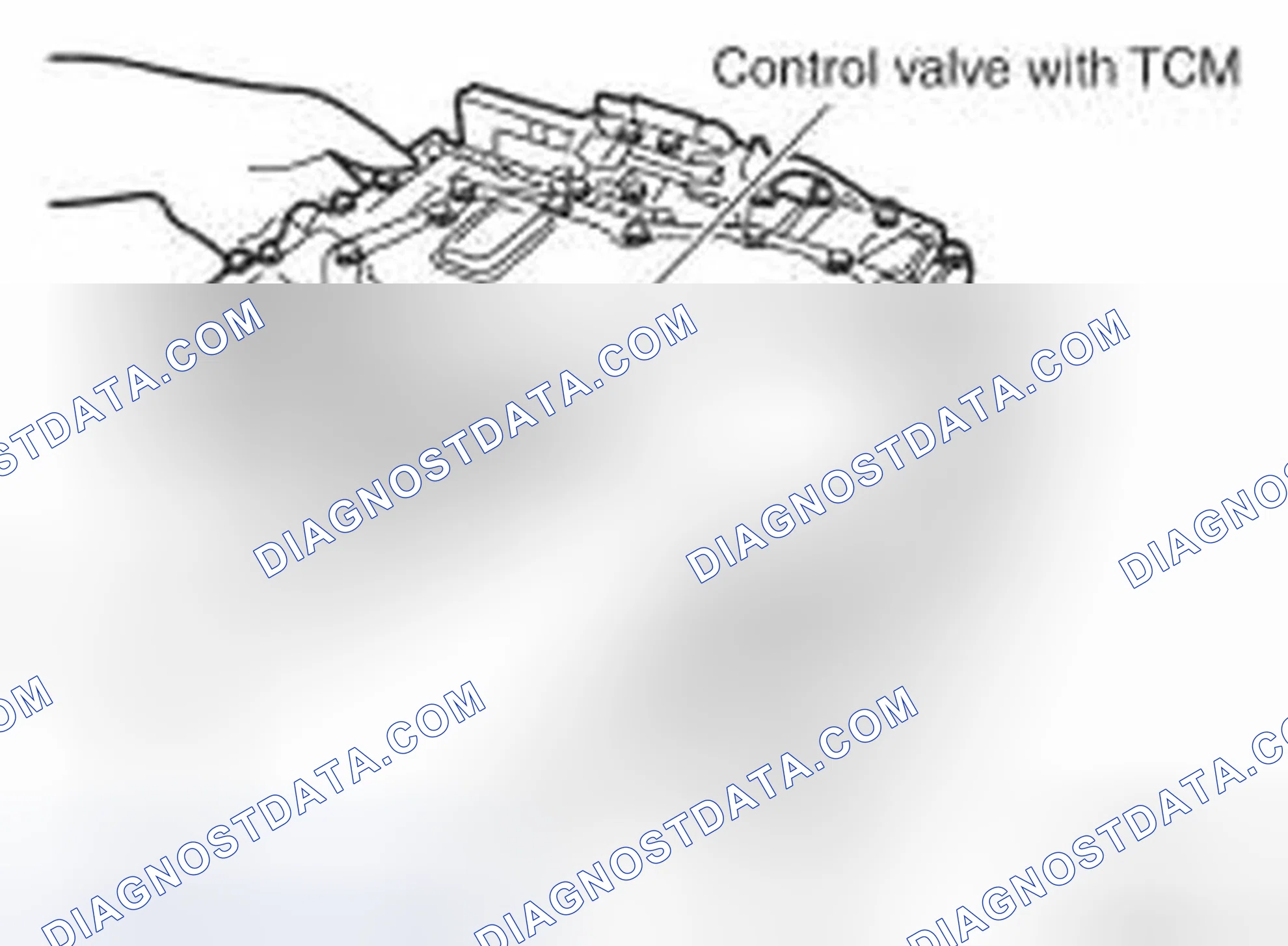 Scheme 117