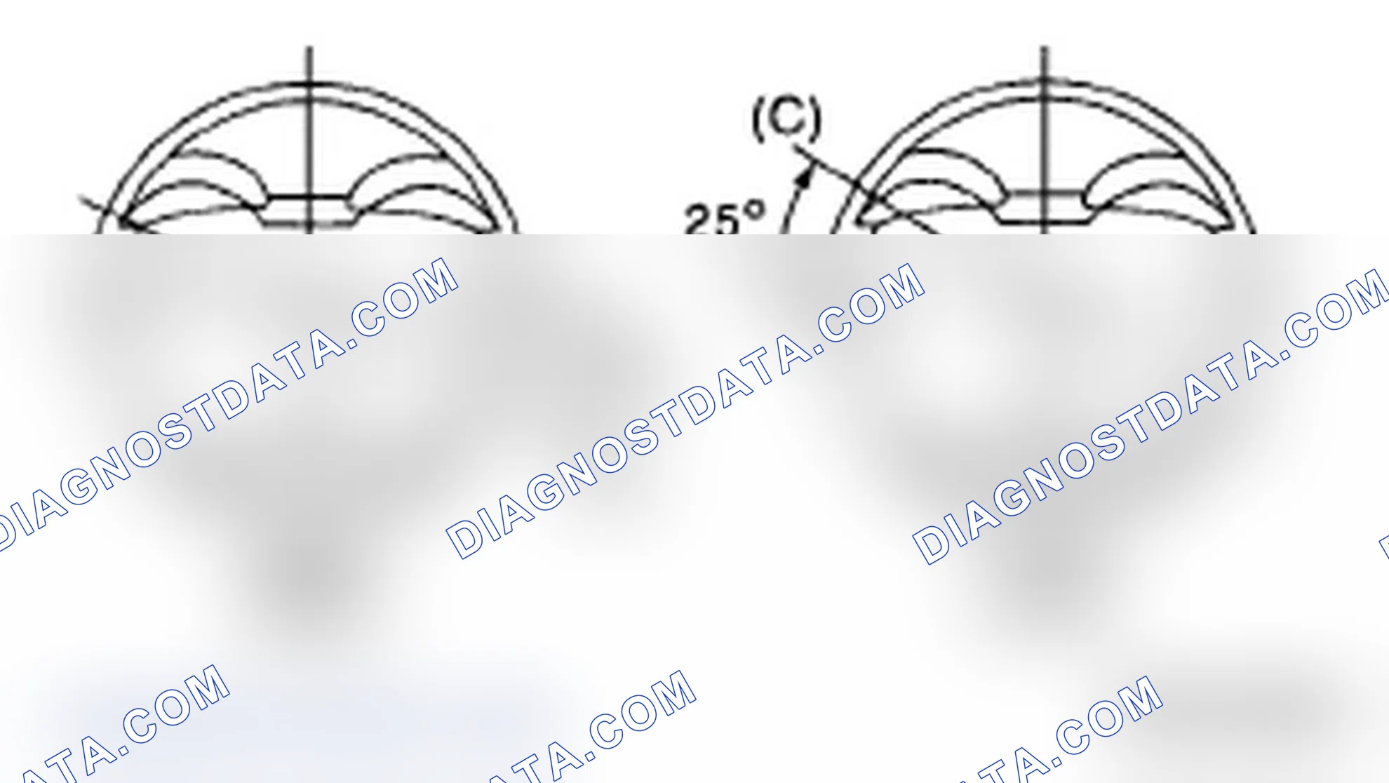 Scheme 253