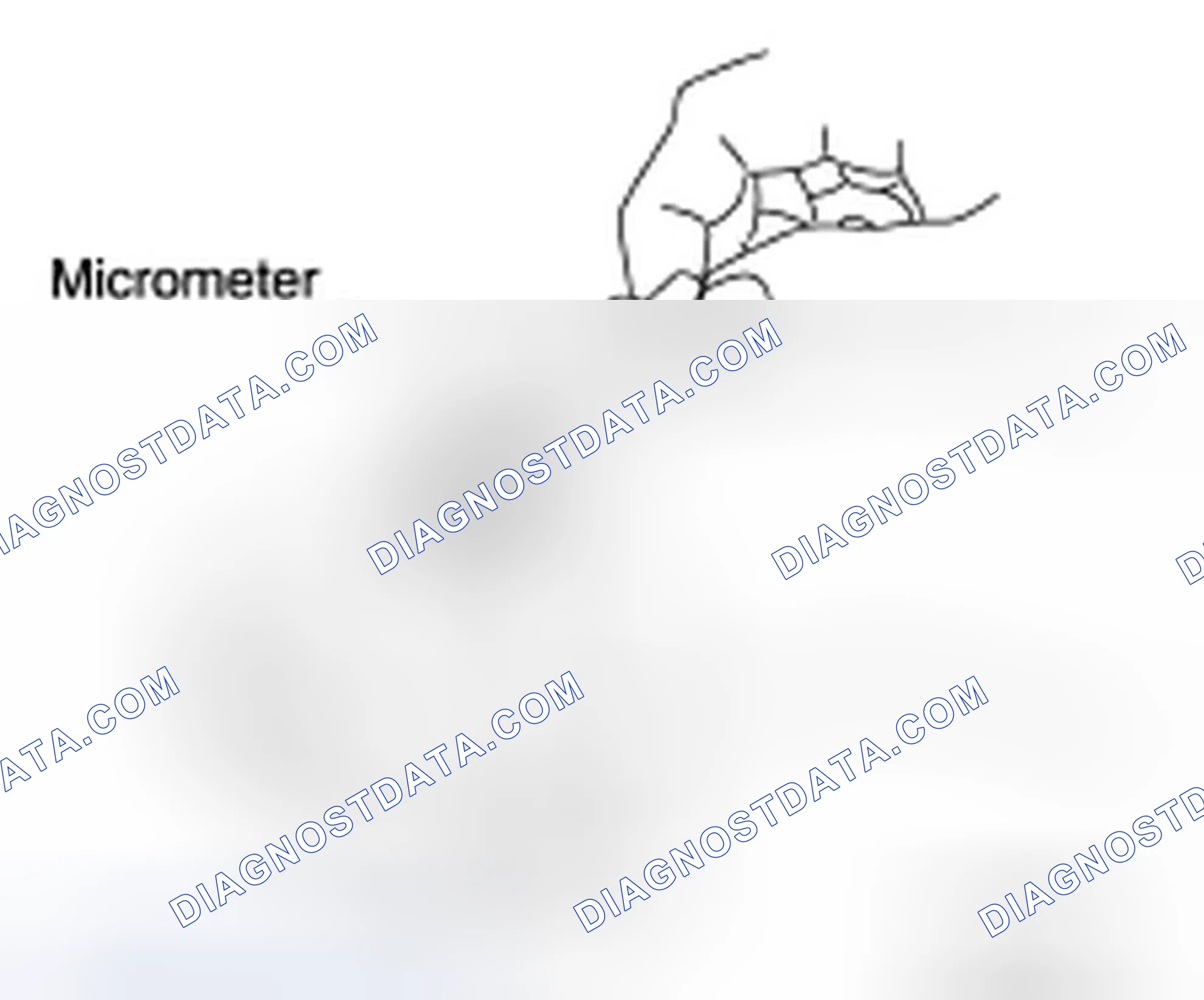 Scheme 10