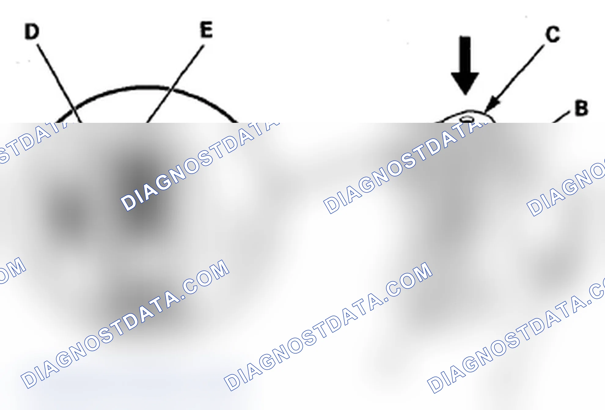 Scheme 111