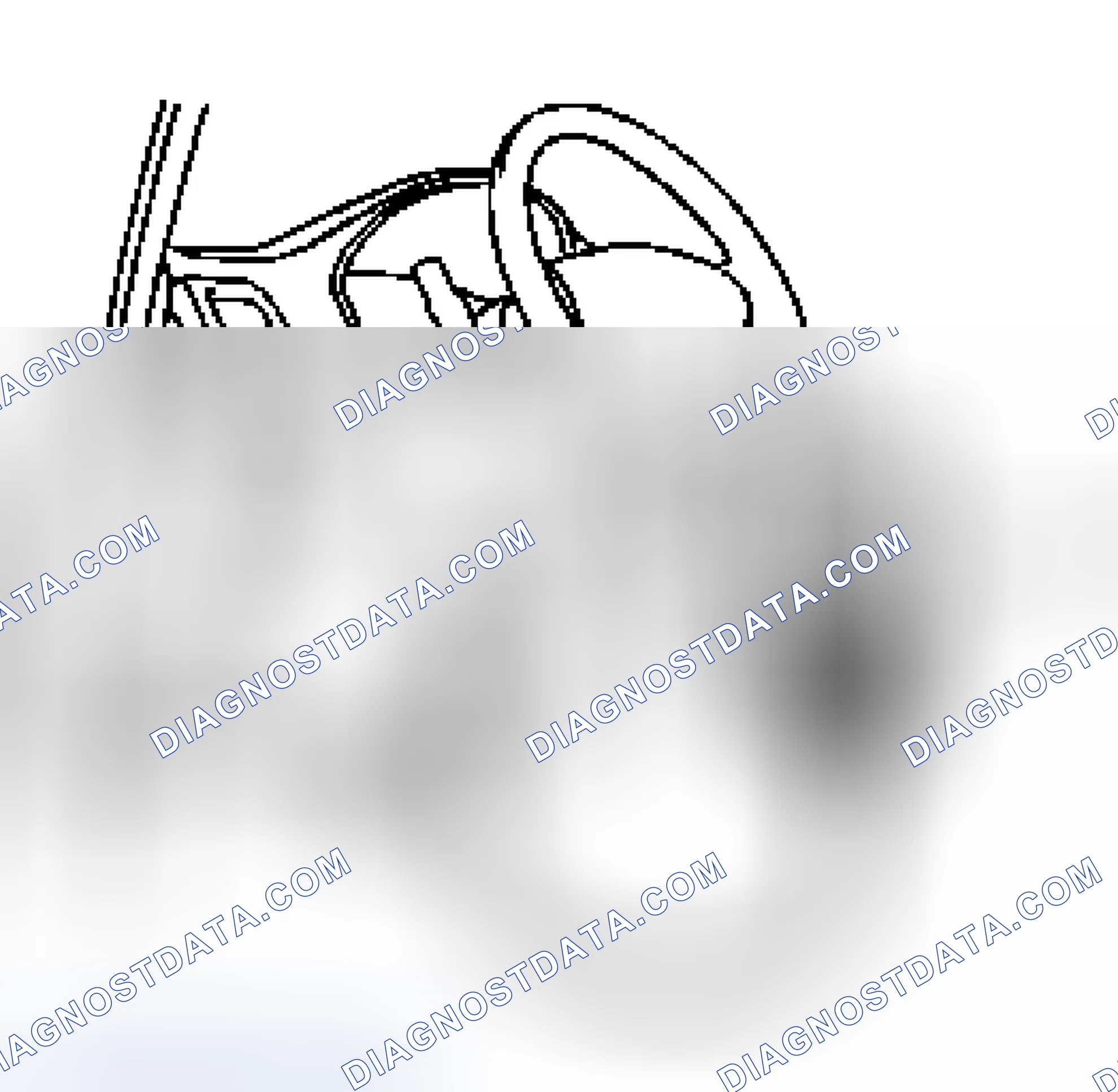 Scheme 1: Using SUZUKI Scan Tool