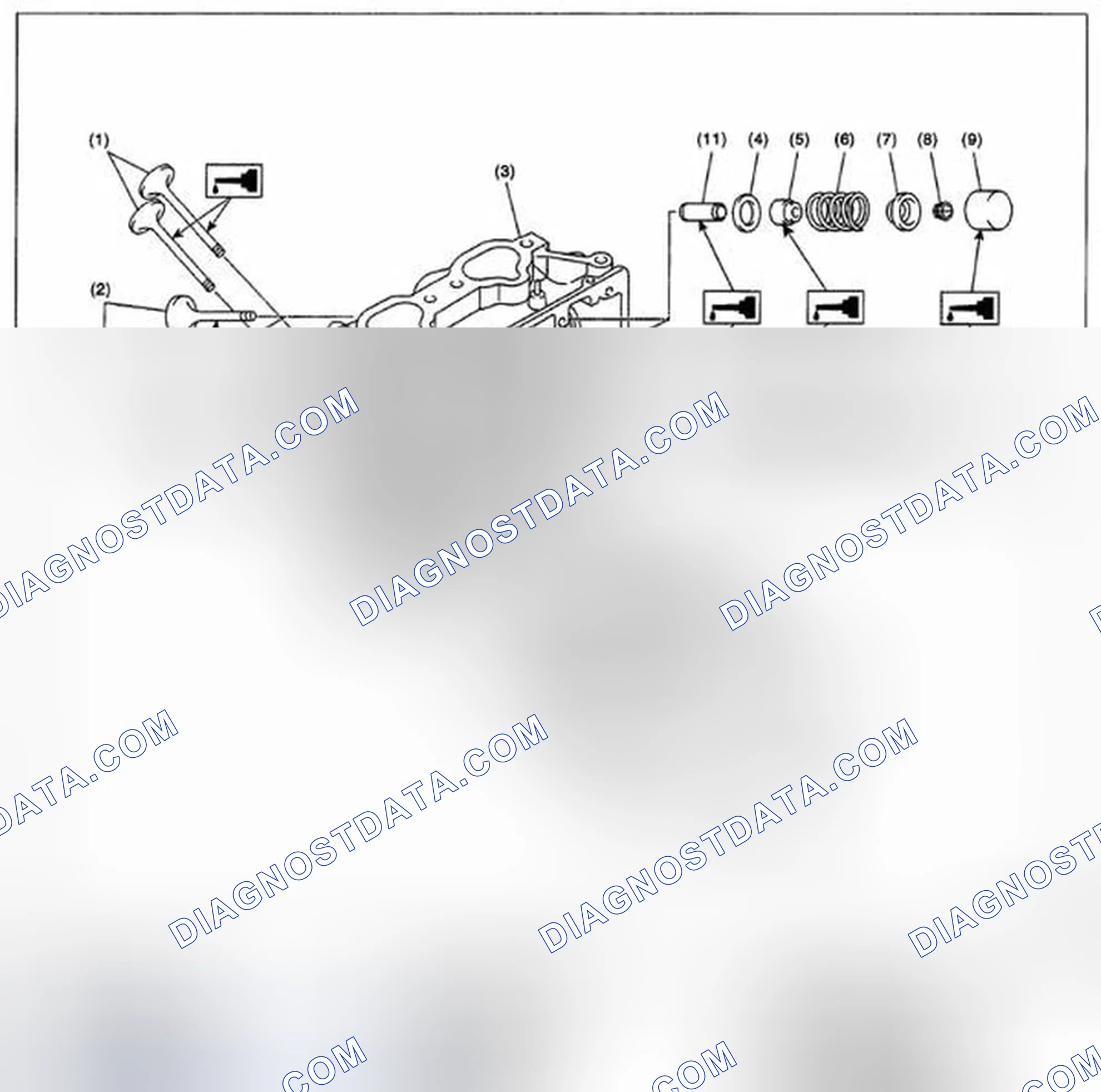 Scheme 564: CYLINDER HEAD AND VALVE ASSEMBLY