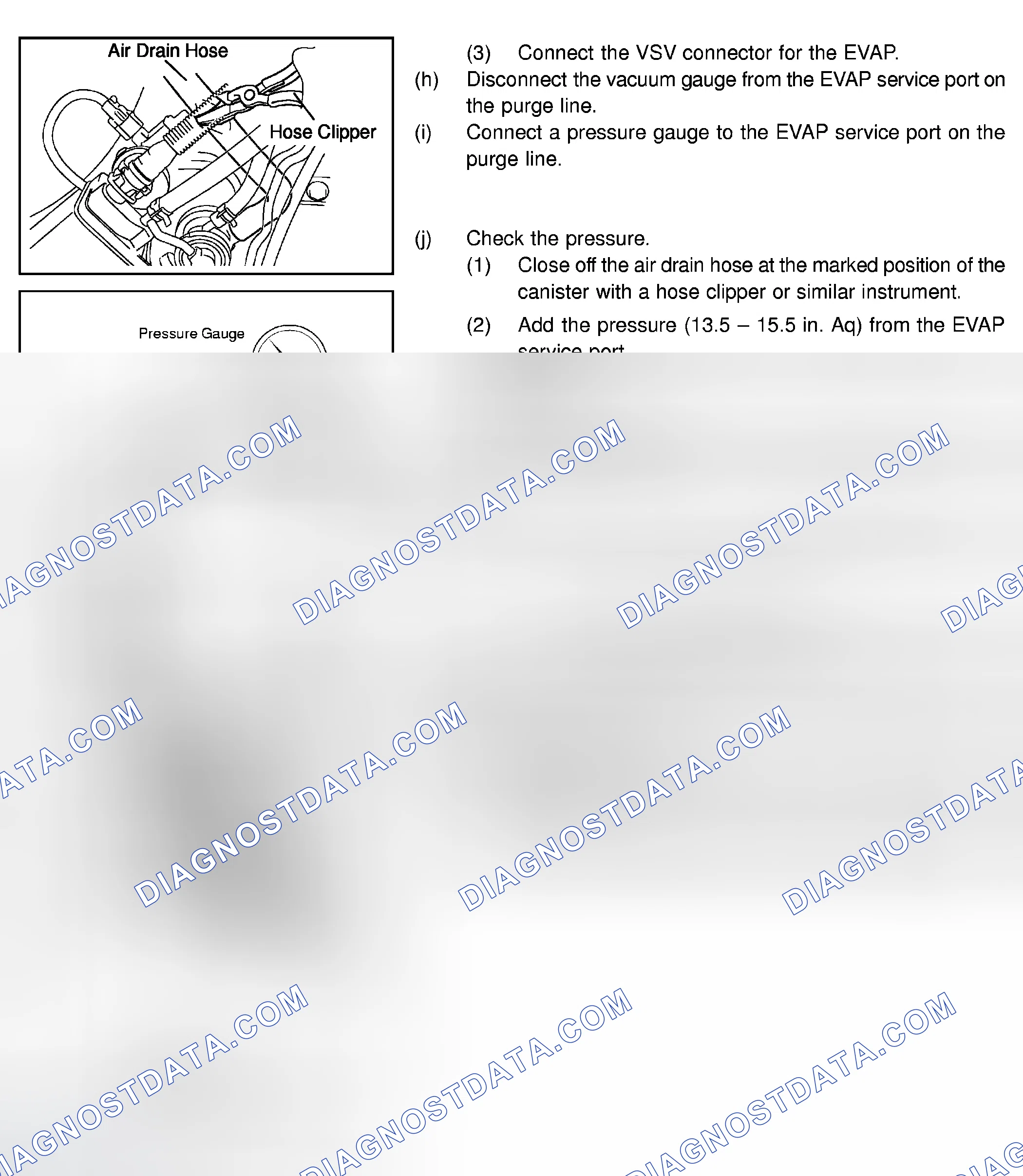 Scheme 262