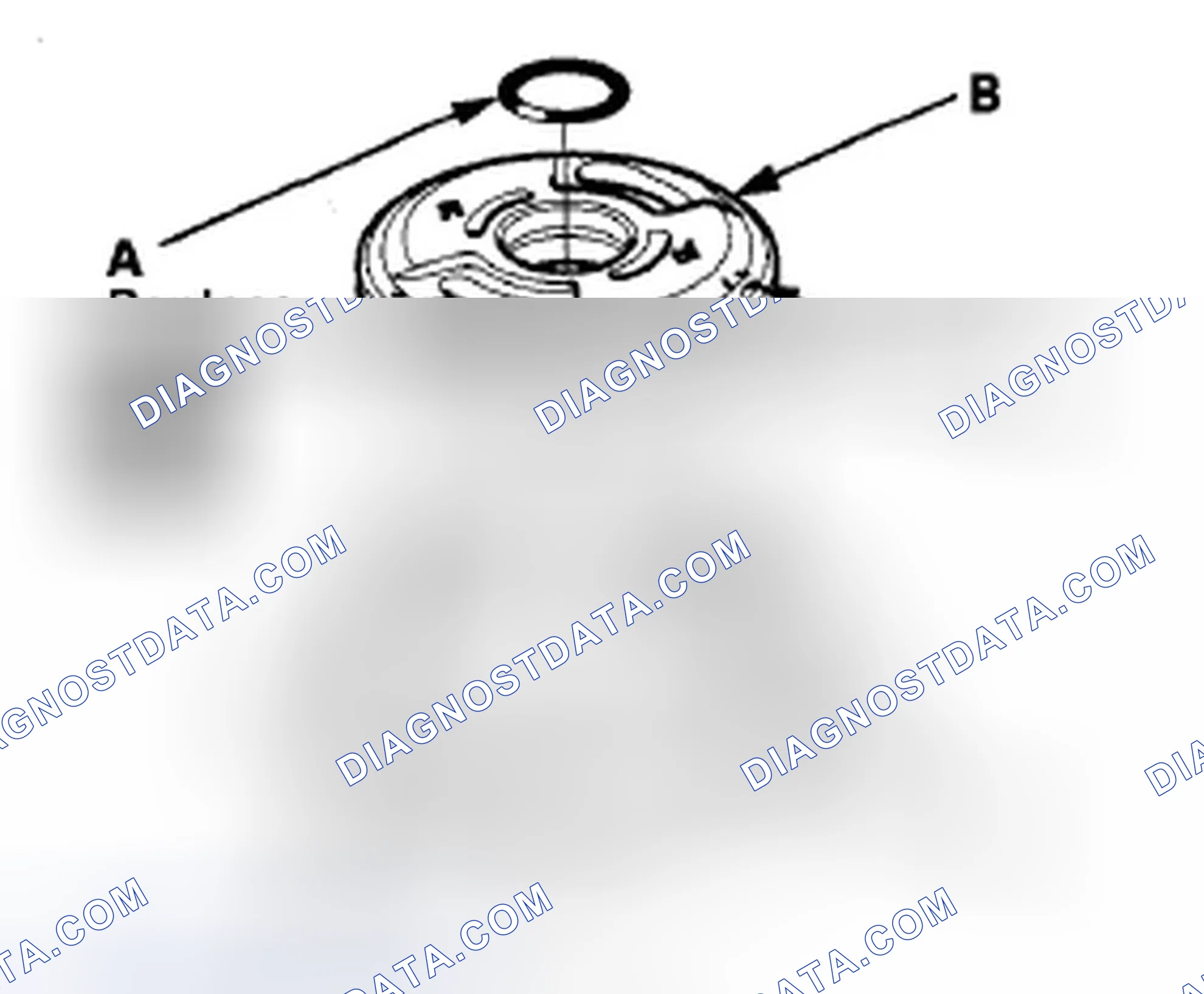 Scheme 52