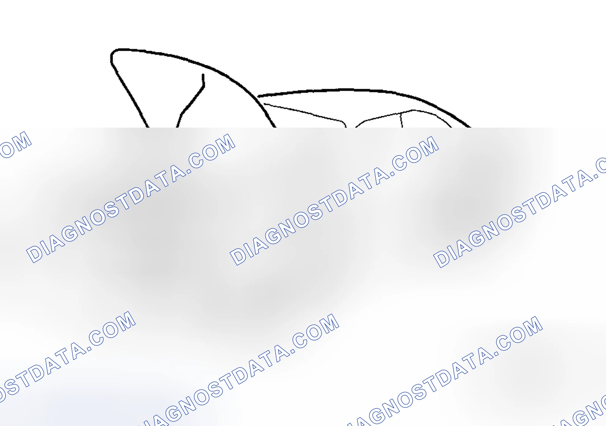 Scheme 11: Protection of the Vehicle