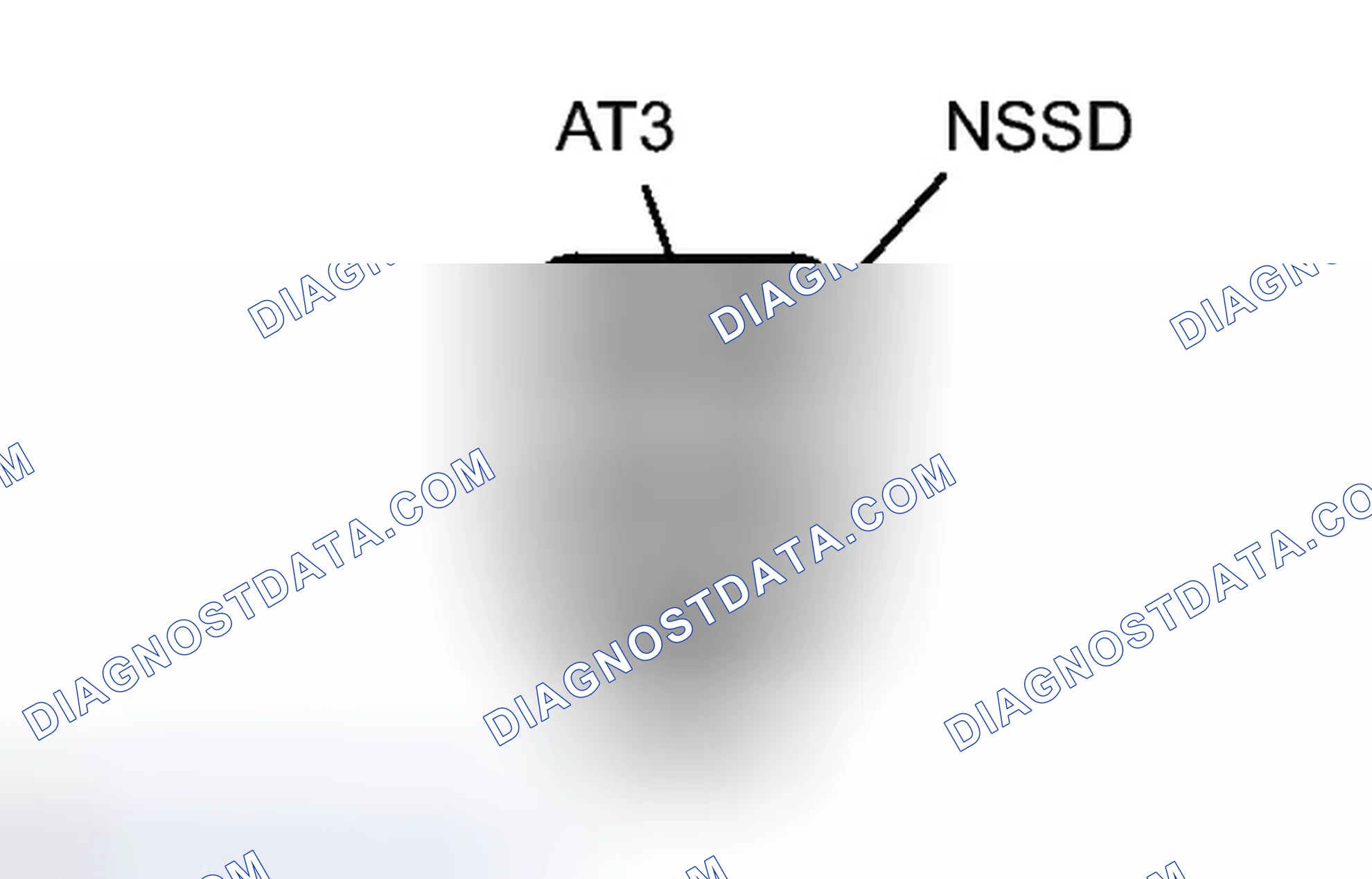 Scheme 1789
