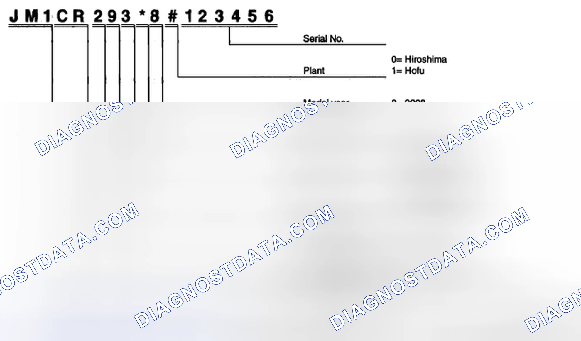 Scheme 1: VEHICLE IDENTIFICATION NUMBER (VIN) CODE