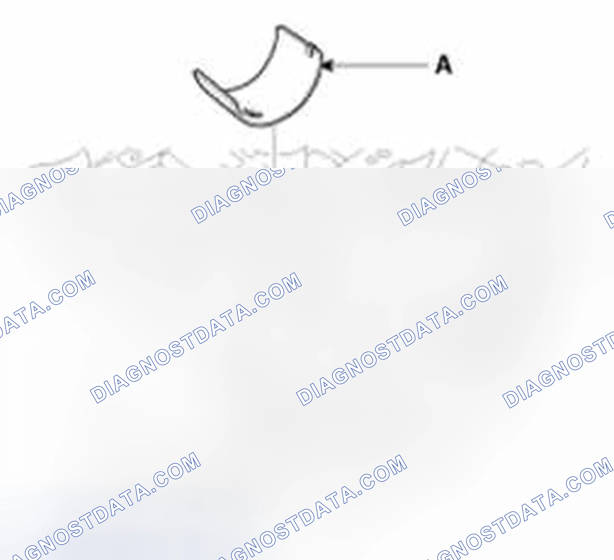 Scheme 395