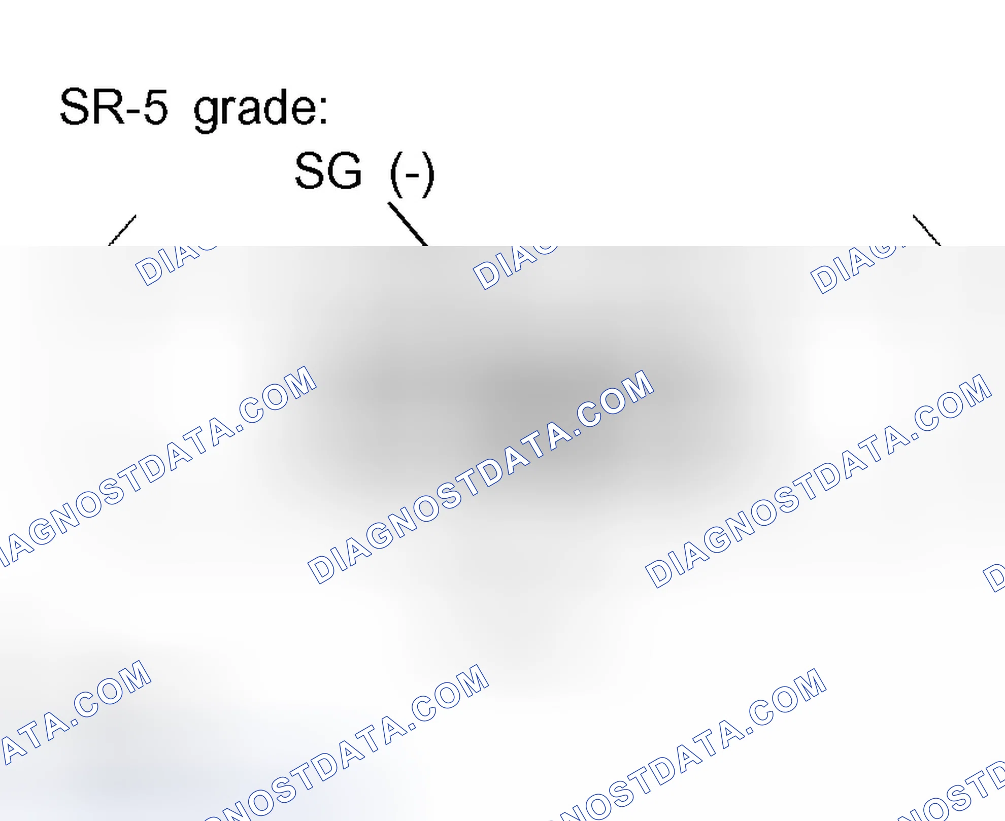 Scheme 80: INSPECTION PROCEDURE