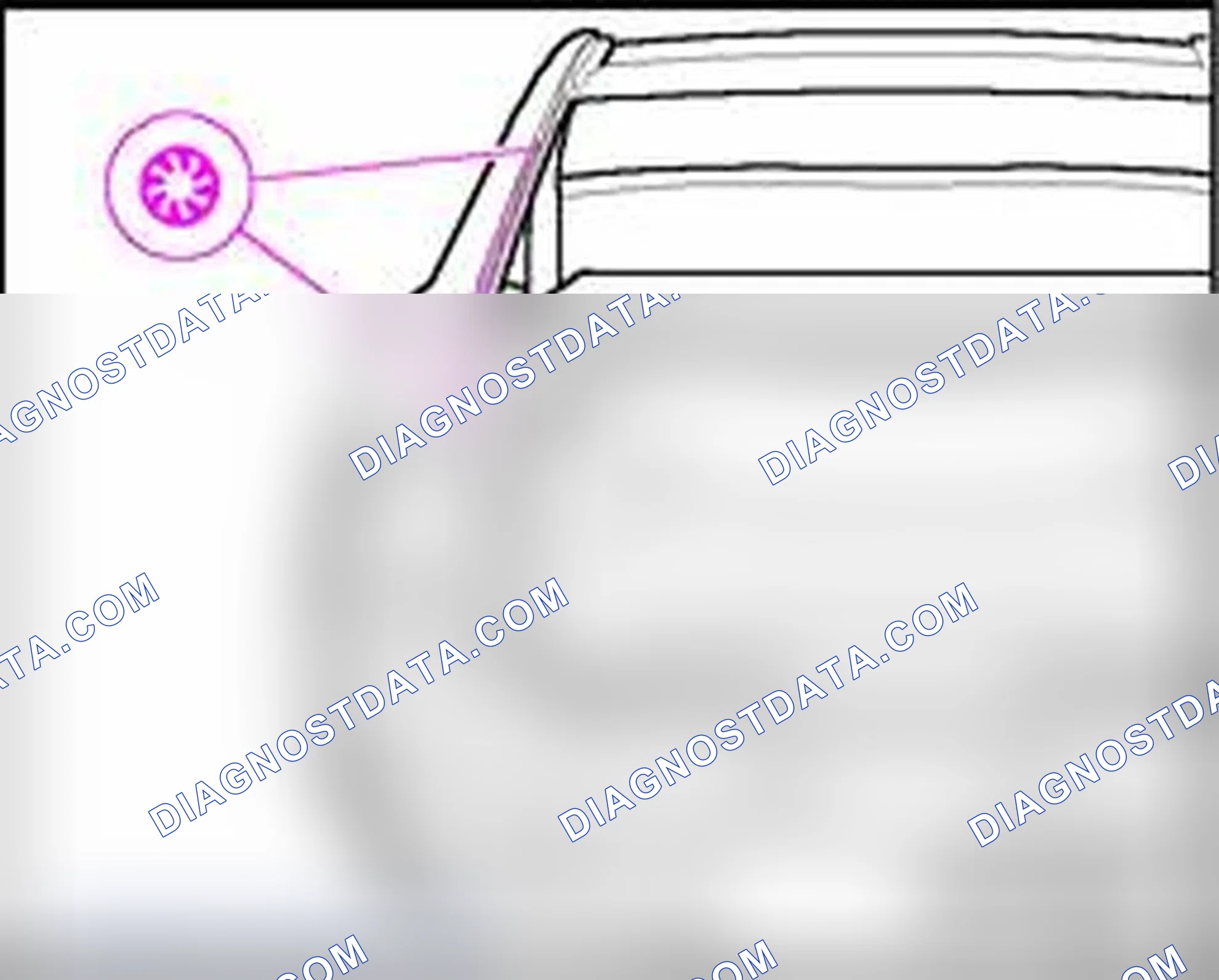 Scheme 147