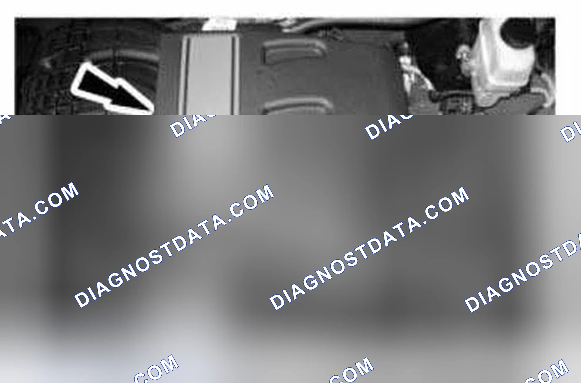 Scheme 784