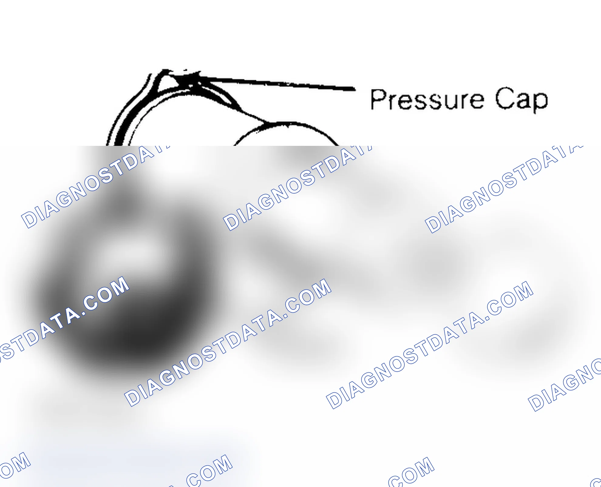 Scheme 2: Pressure Testing Radiator Cap