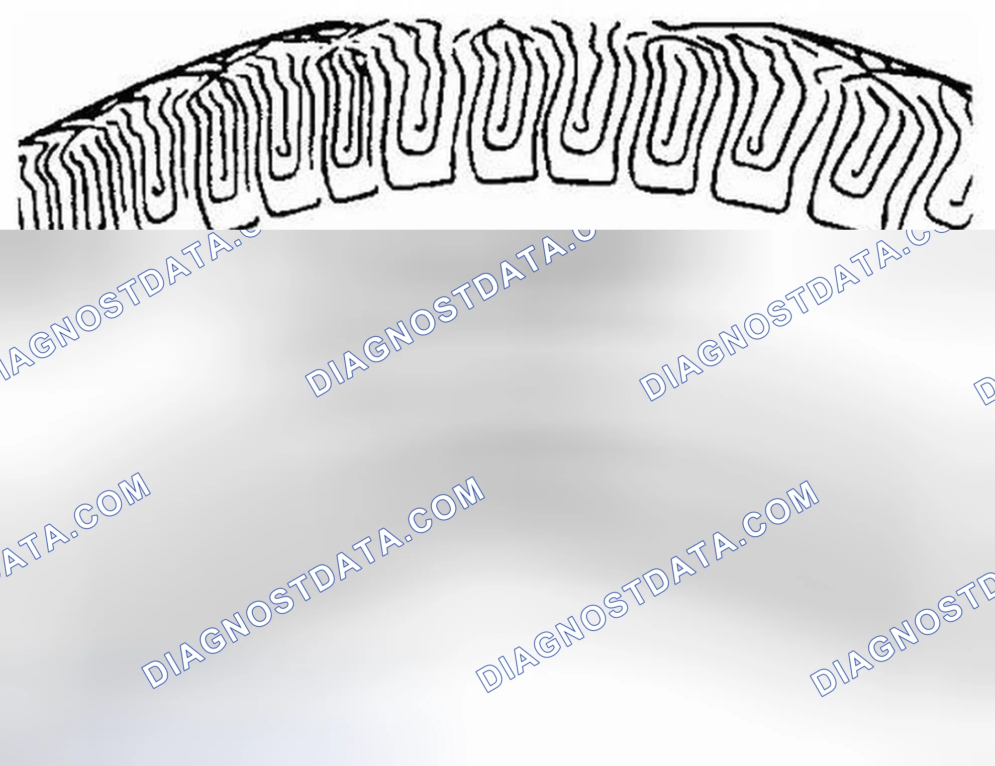 Scheme 1: All Seasons Tires Description