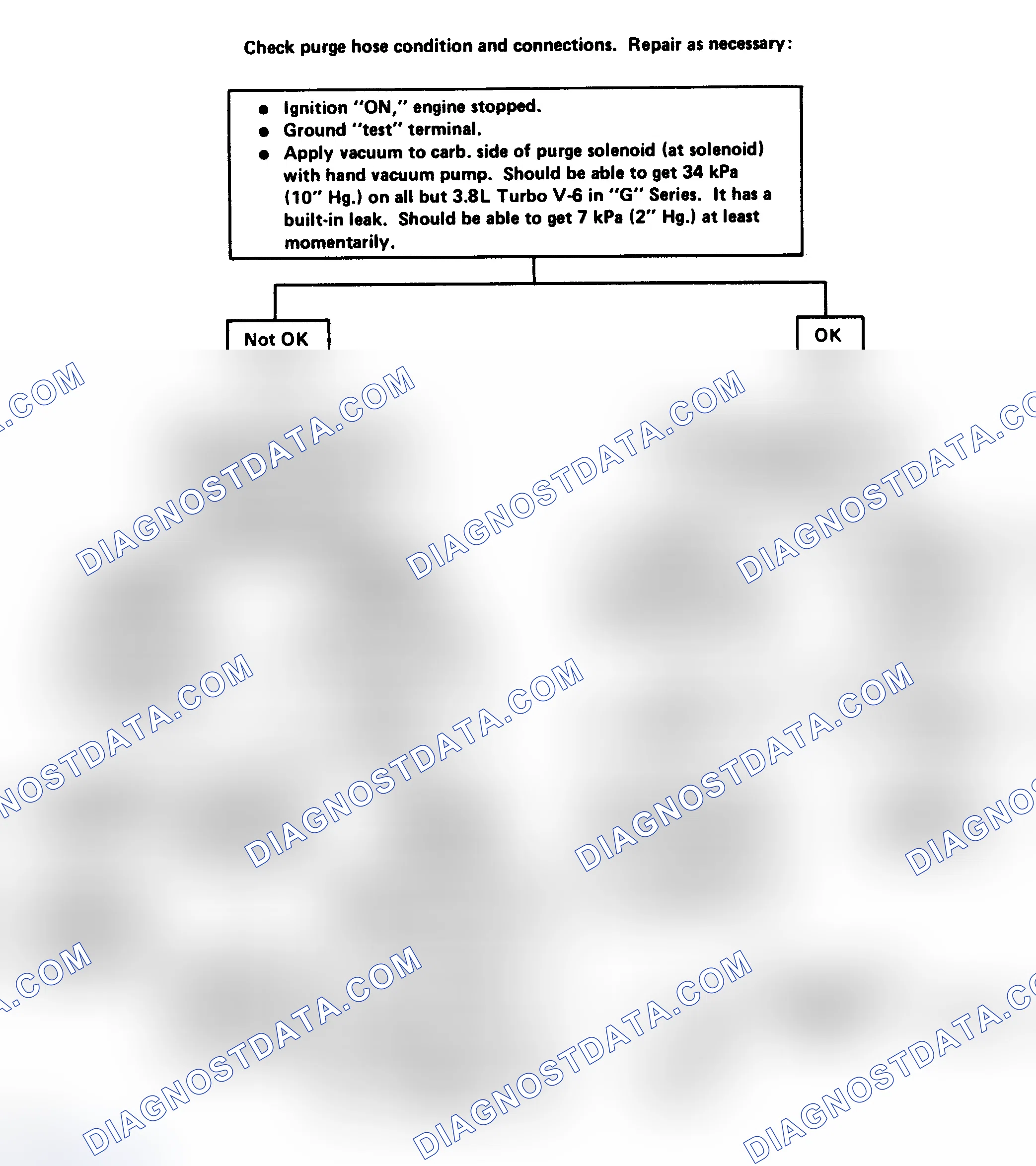 Scheme 218: Flow Chart - Canister Purge Valve Check