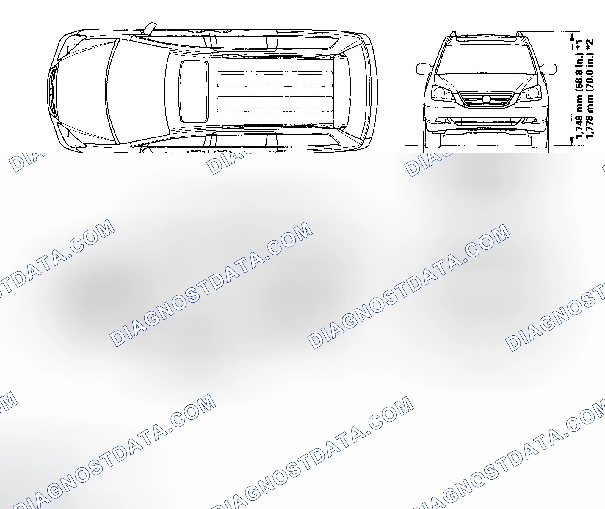 Scheme 1: Body Specifications