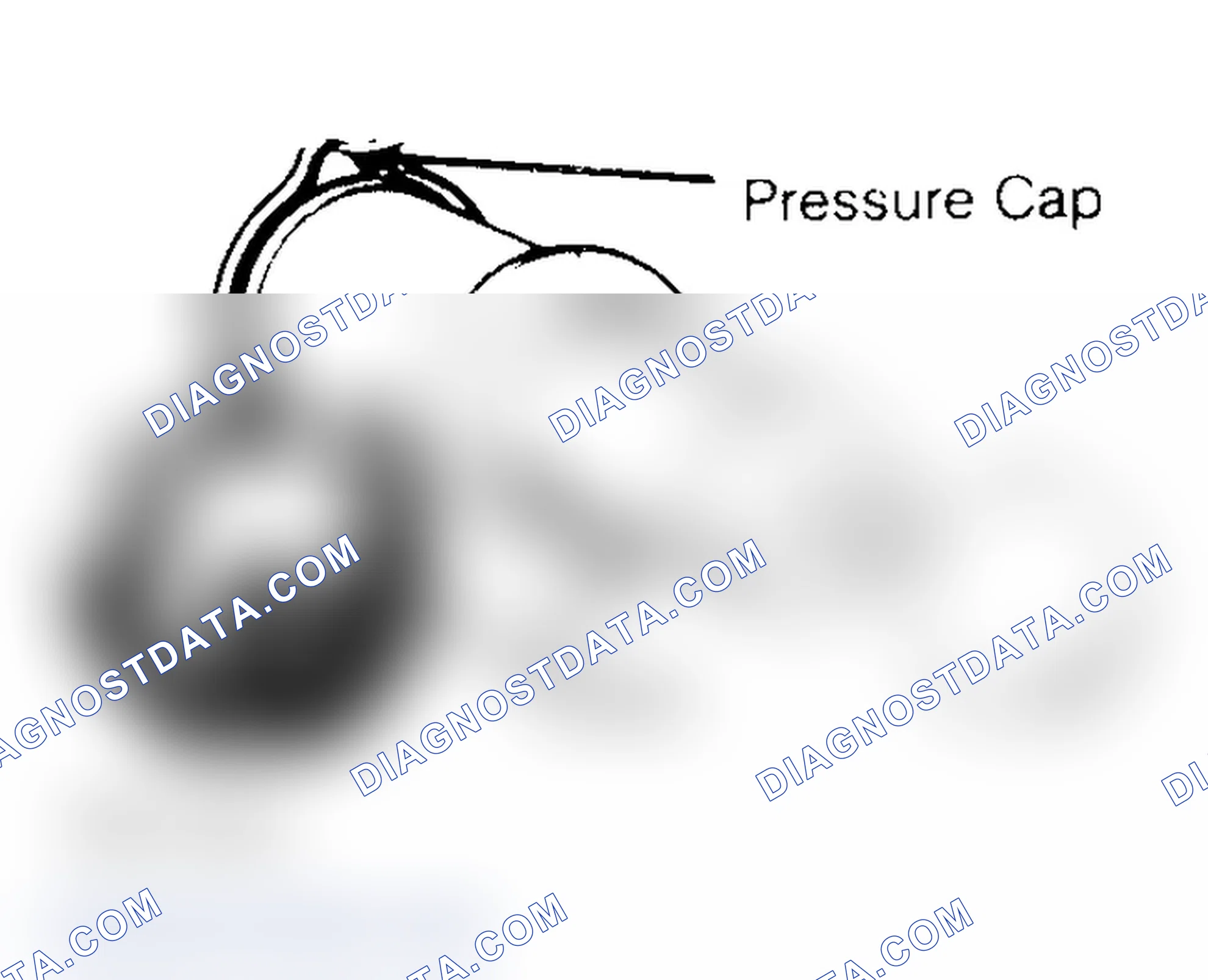 Scheme 2: Pressure Testing Radiator Cap