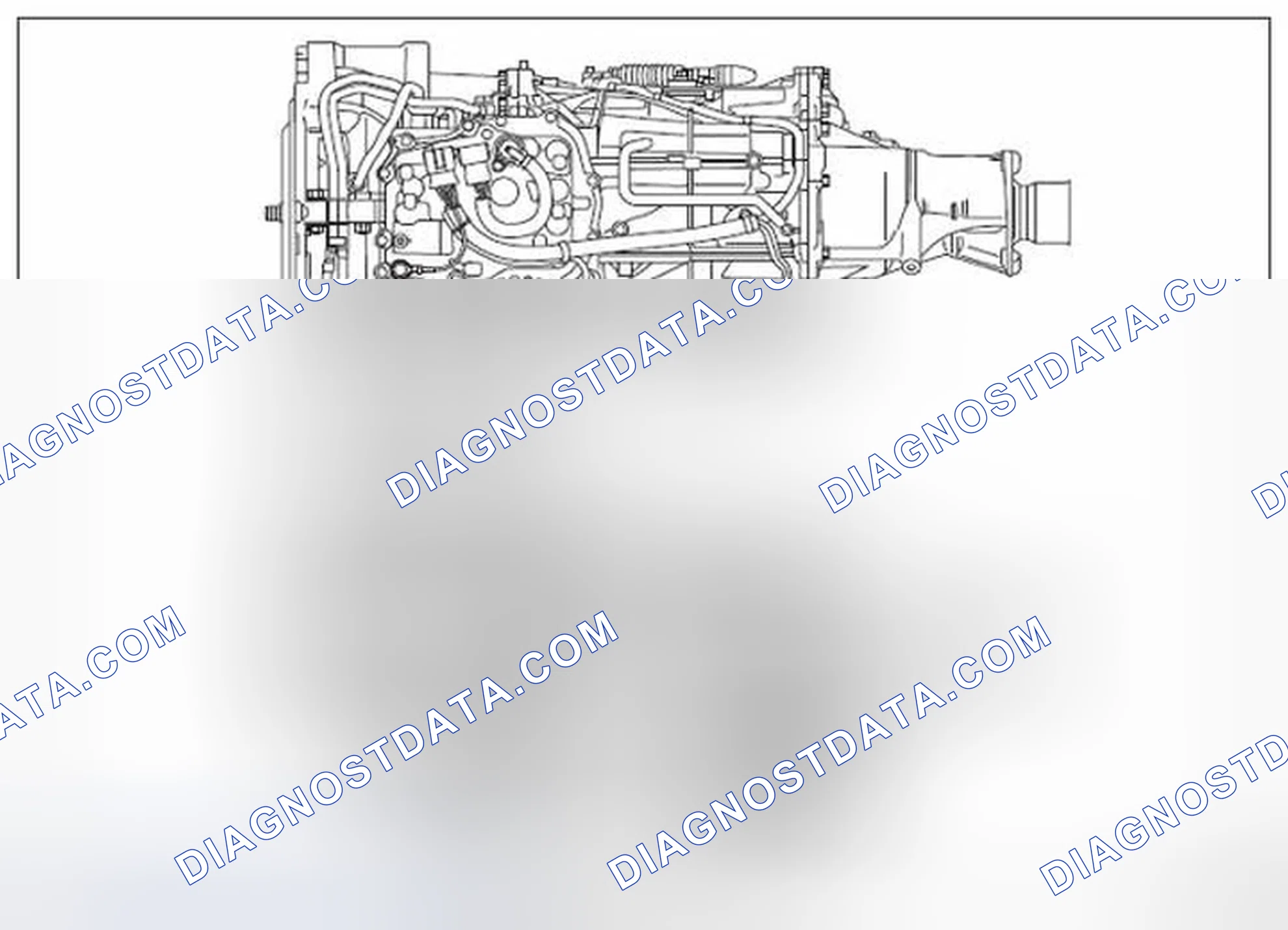 Scheme 335