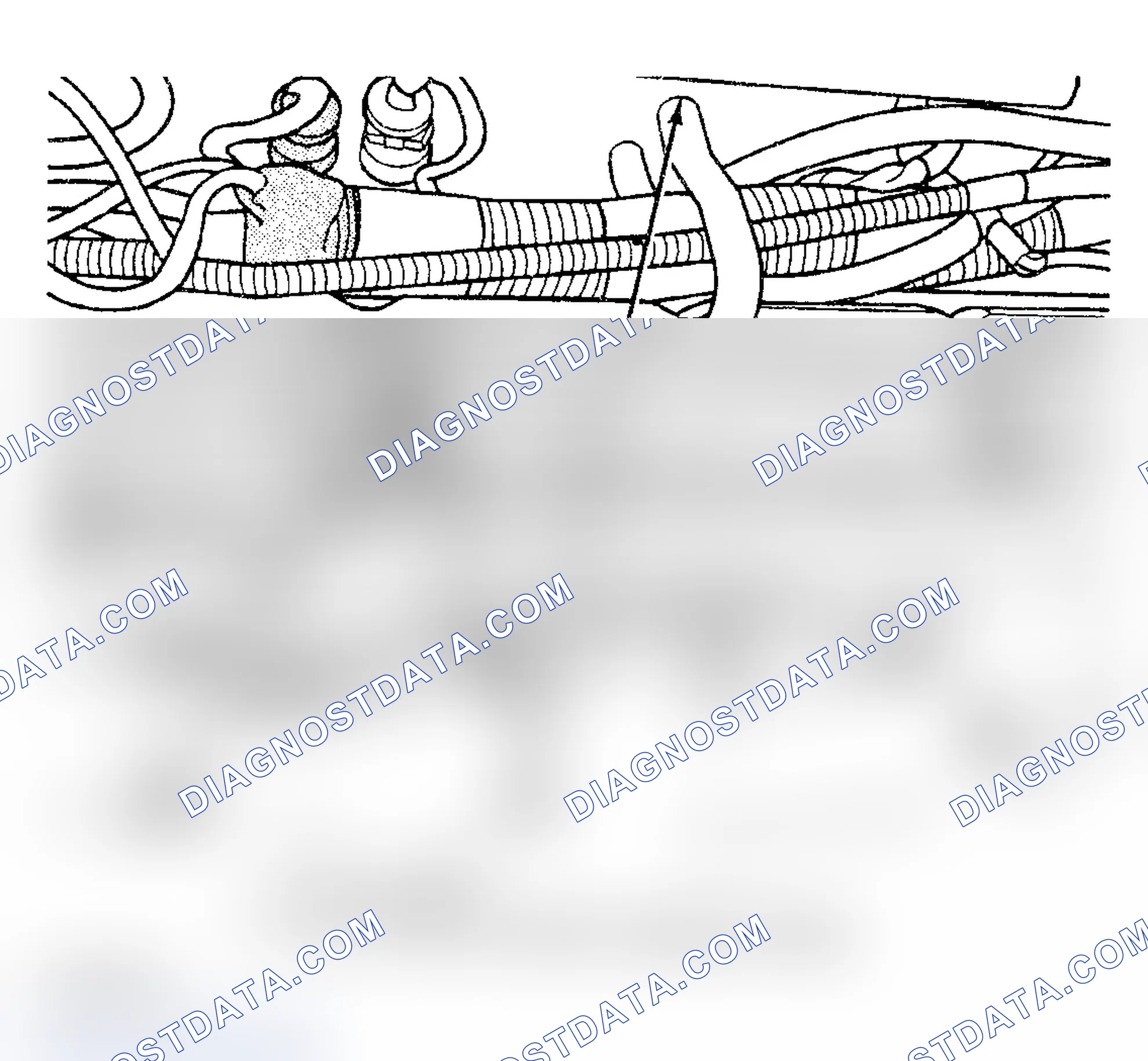 Scheme 1031
