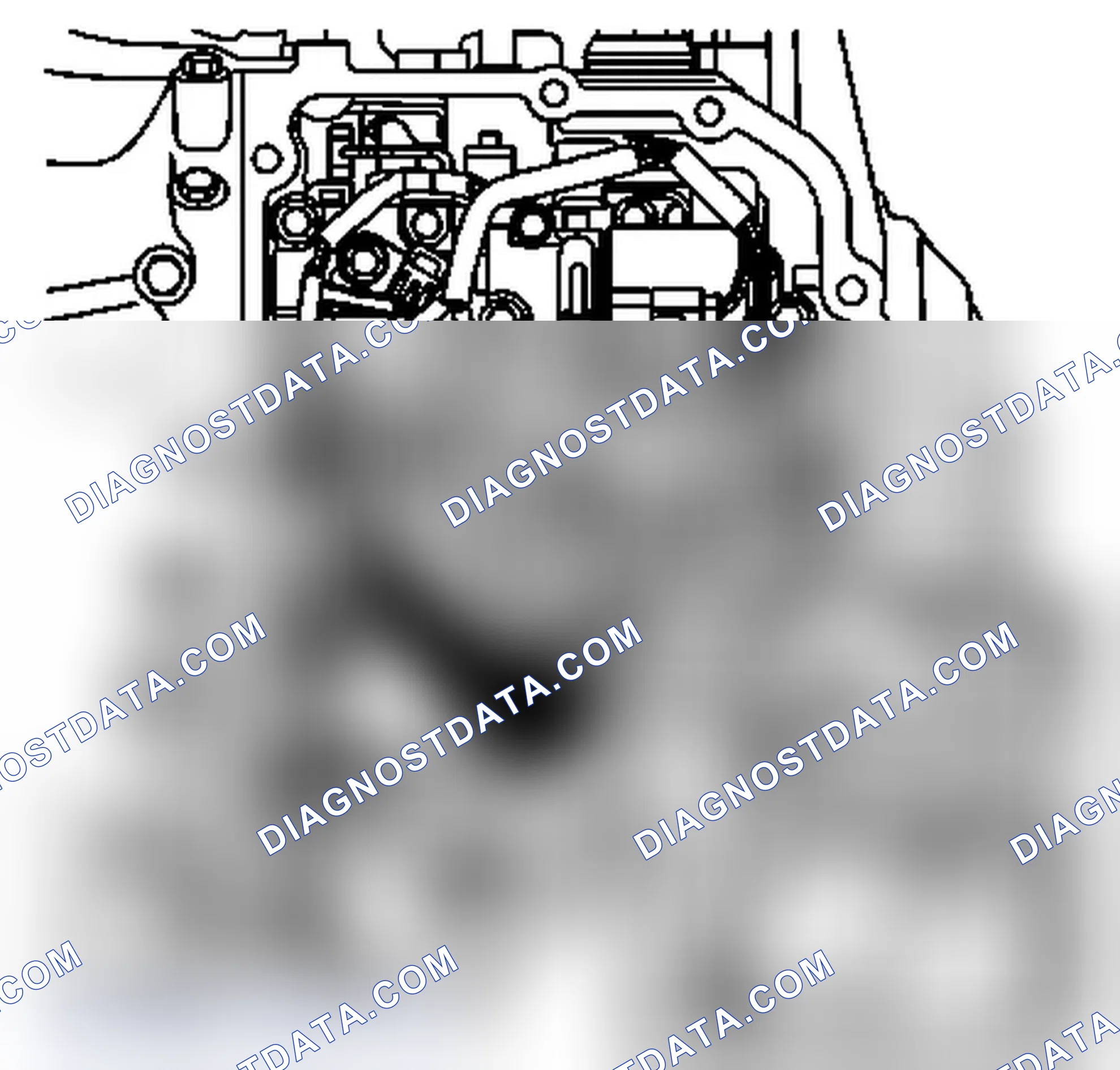 Scheme 81: Transmission Oil Temperature Sensor