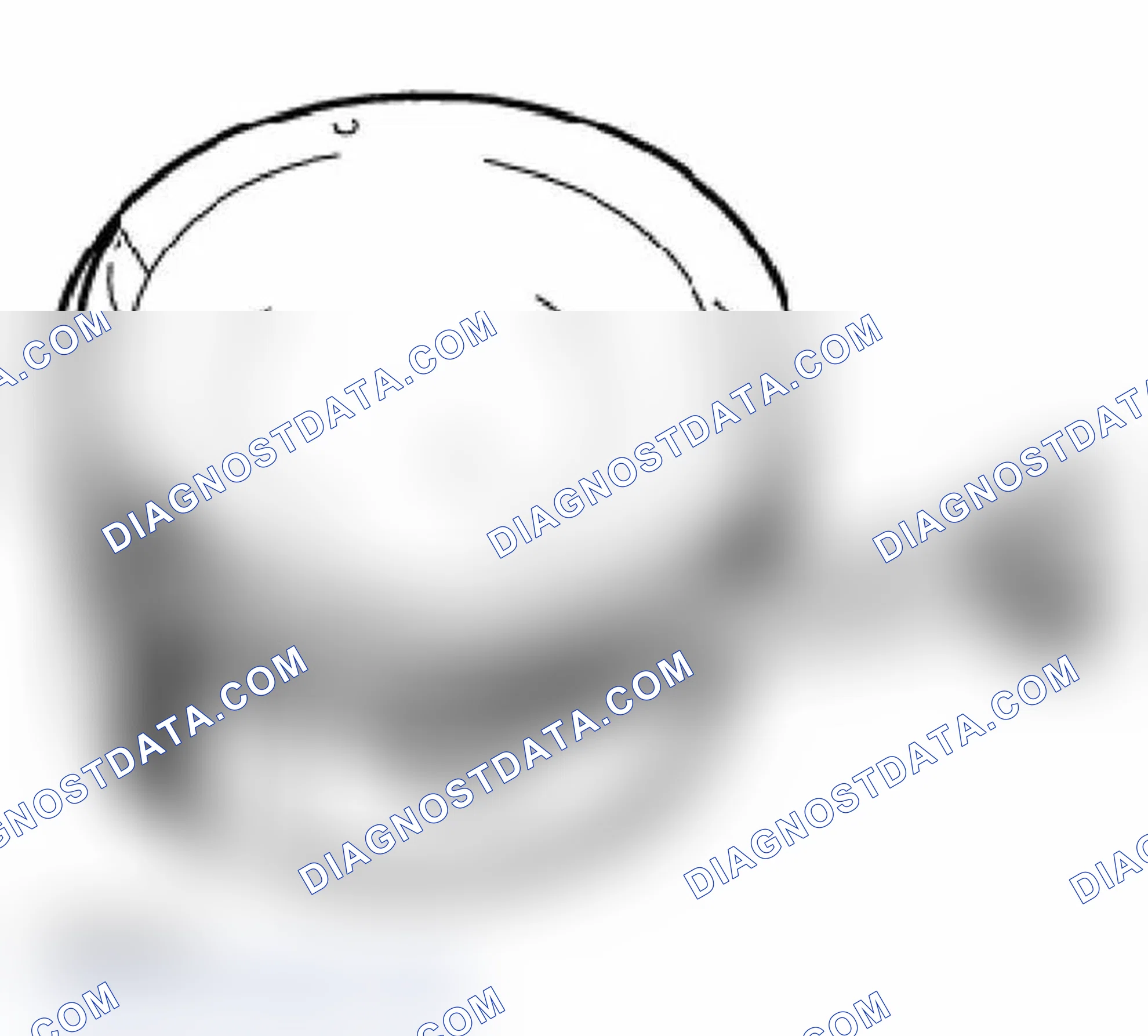 Scheme 18: Piston Ring Measurements